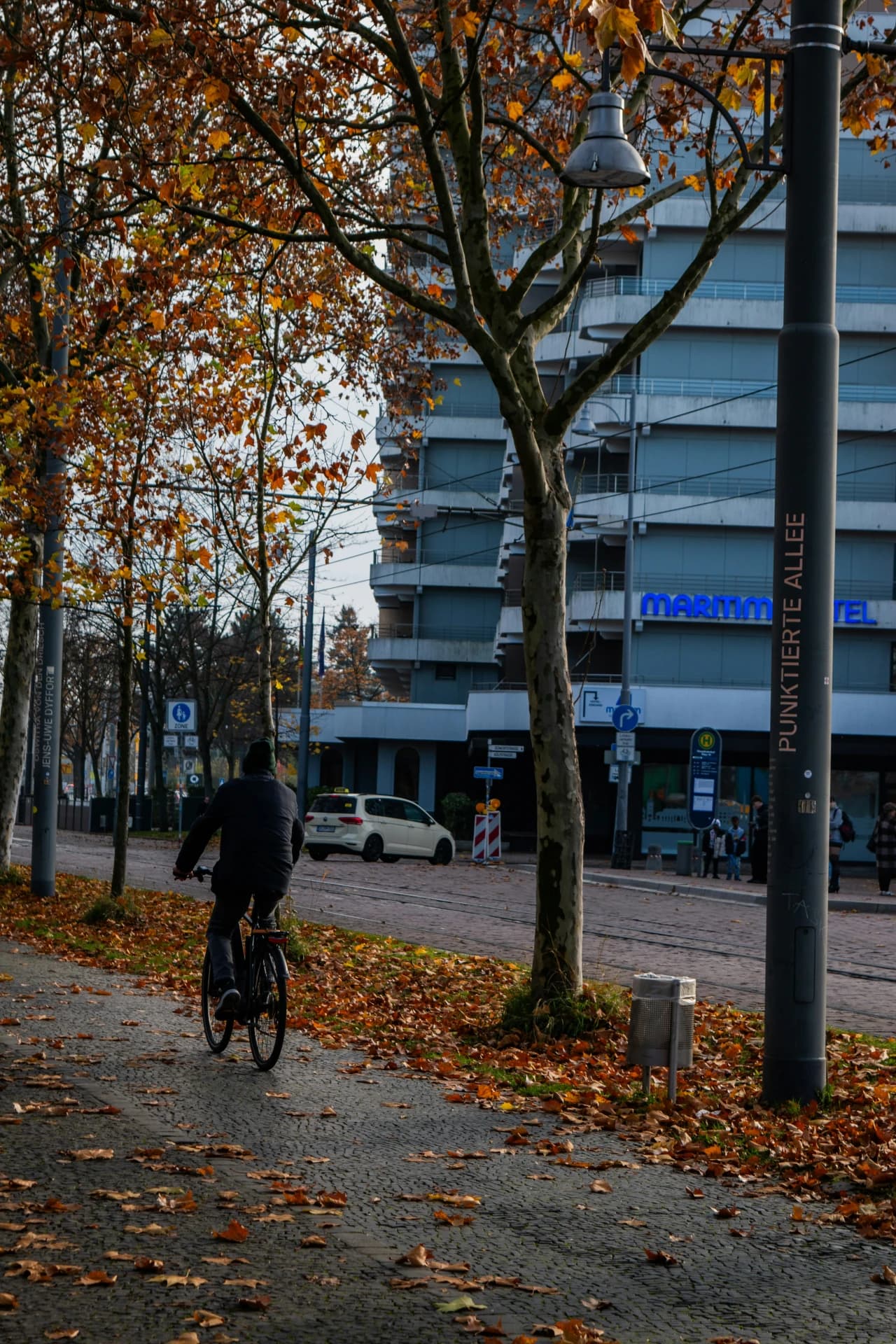 Punktierte Allee im Herbst in Darmstadt