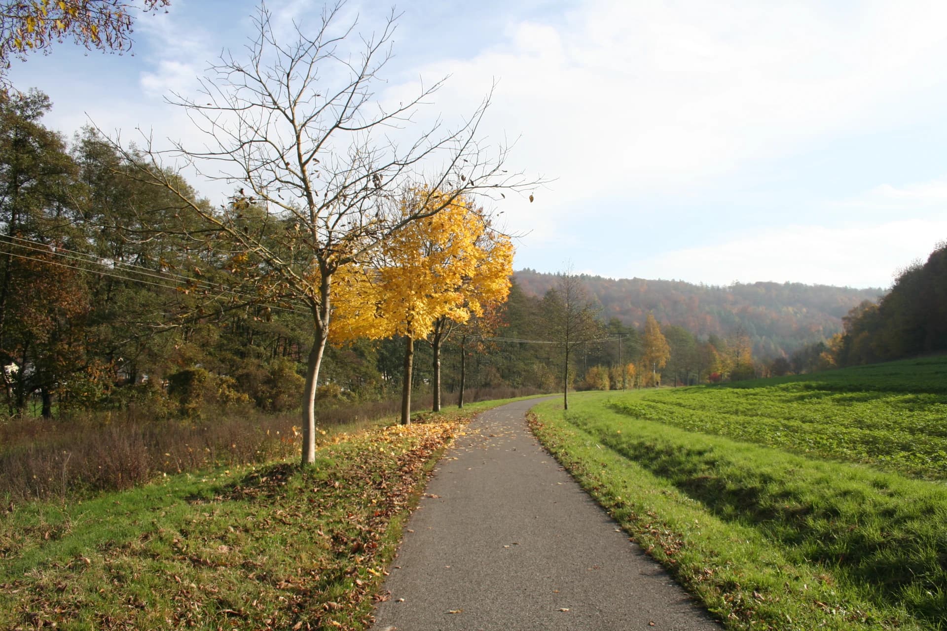 Radweg auf der ehemaligen Bahntrasse am Ortsrand von Elsenfeld-Rück