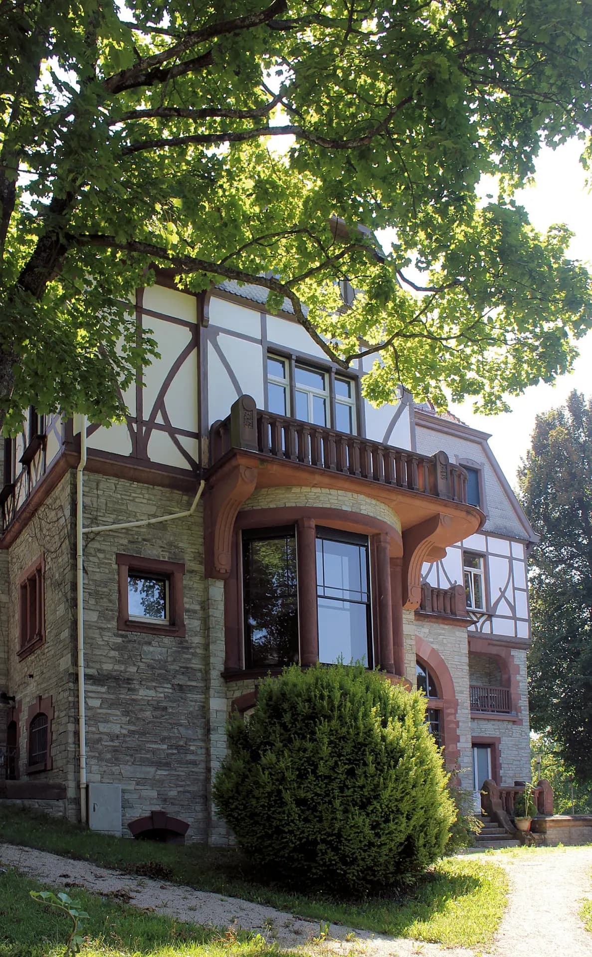Rathaus von Kronberg im Taunus im Grünen