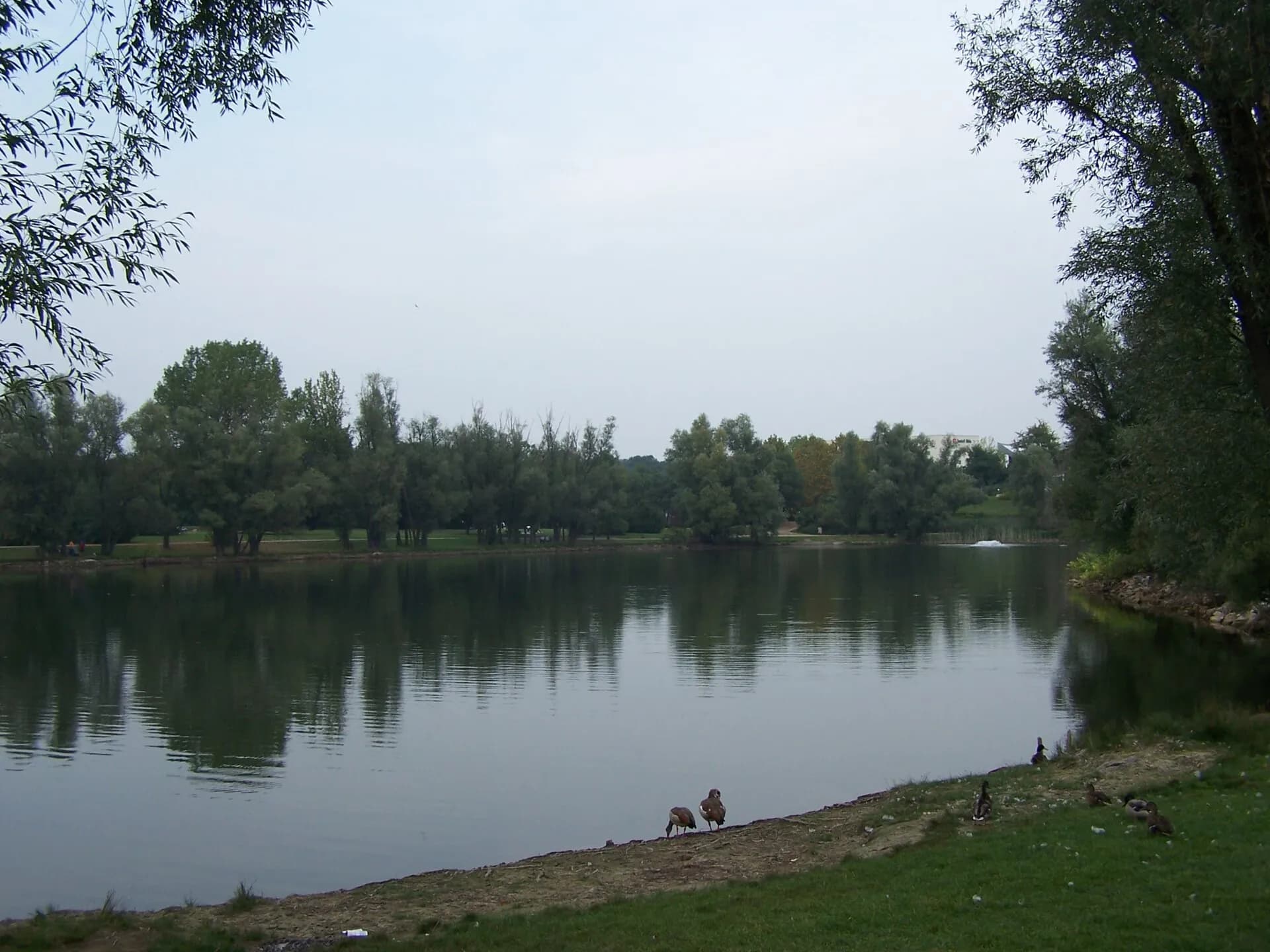 Rebstockweiher in Frankfurt am Main