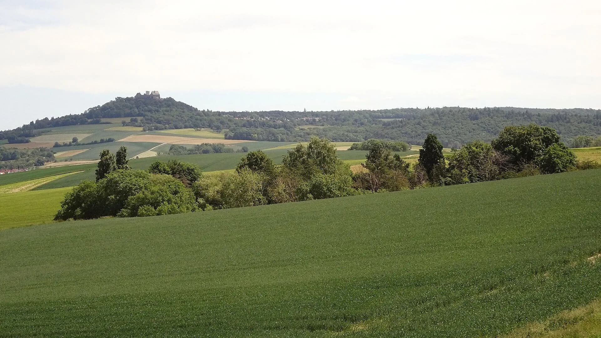 Südliche Reinheimer Buckel im Hügelland