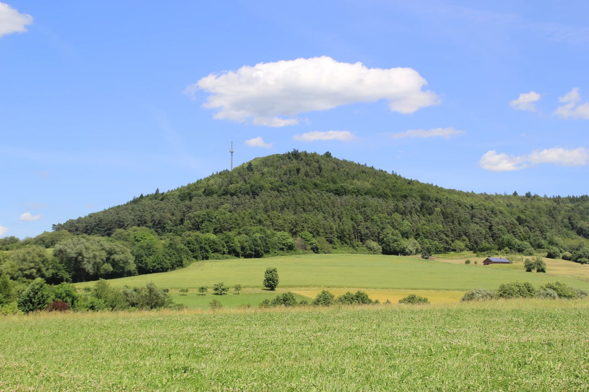 Blick über Wiesen zum bewaldeten Reuschberg bei Schöllkrippen