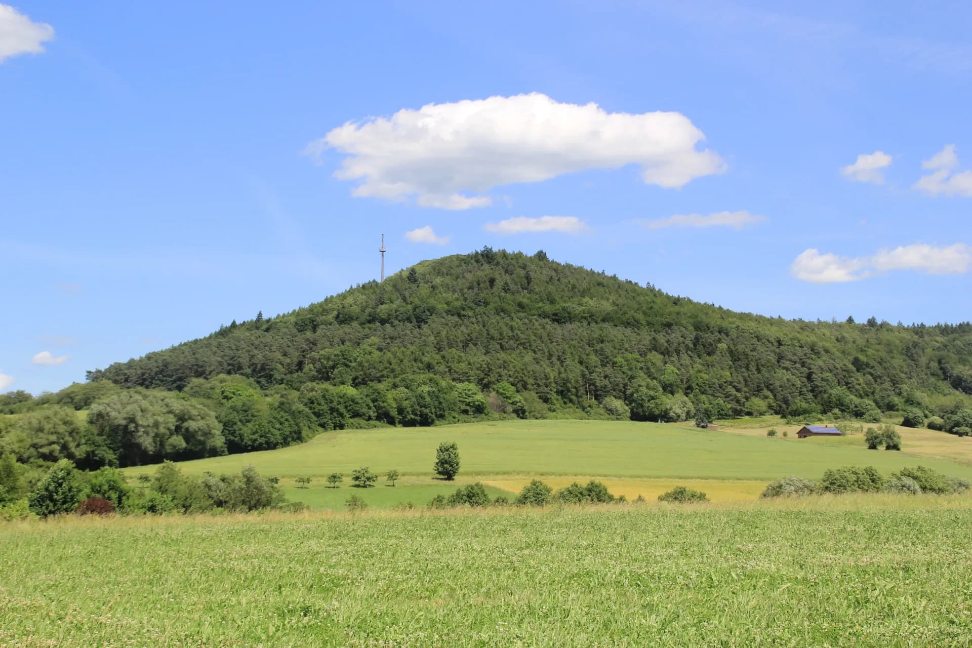 Blick über Wiesen zum bewaldeten Reuschberg bei Schöllkrippen