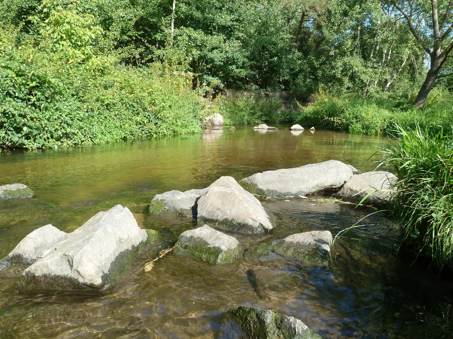 Rodauniederung in Obertshausen