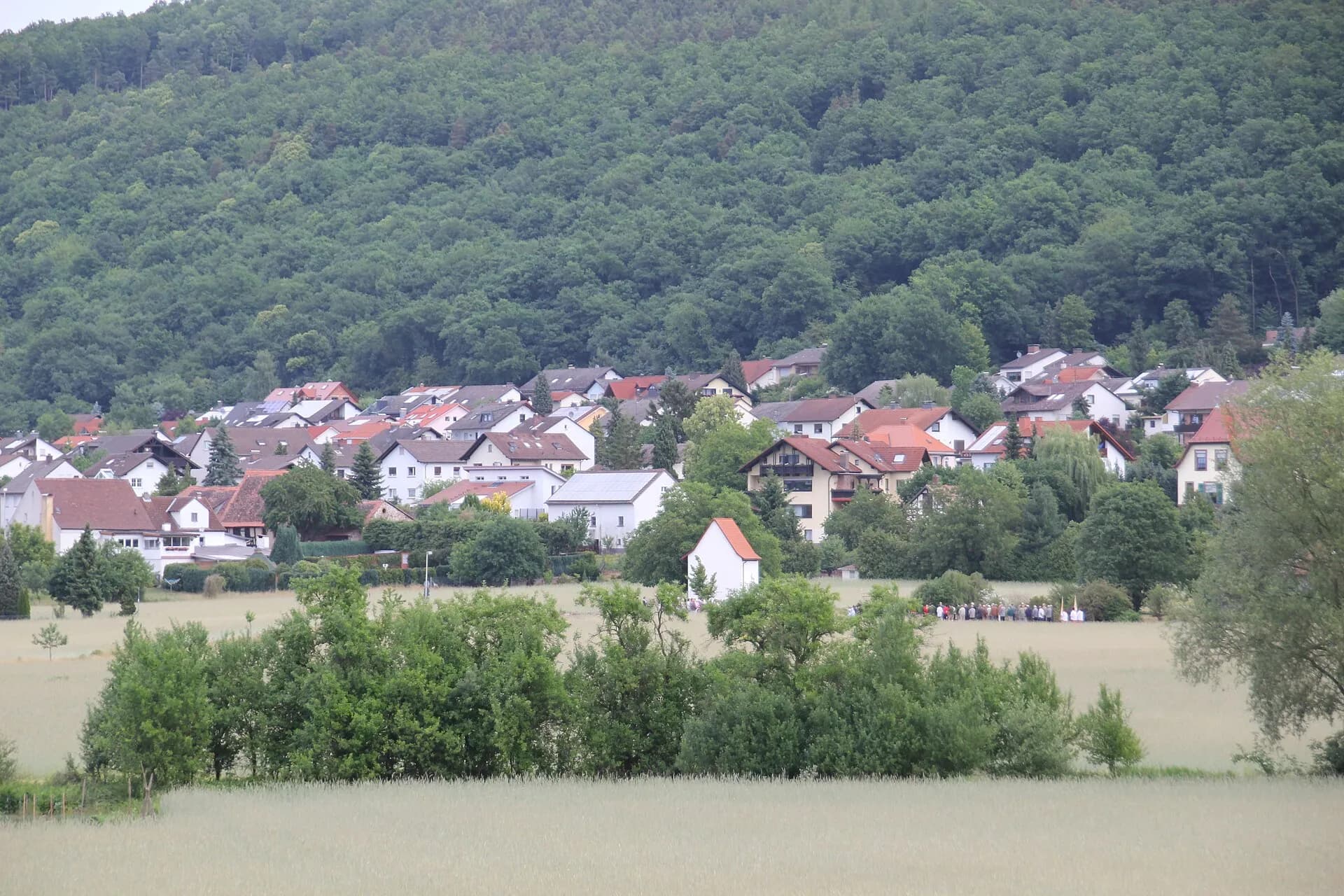 Ortsansicht von Röllfeld vor dem Spessarthang in Klingenberg am Main