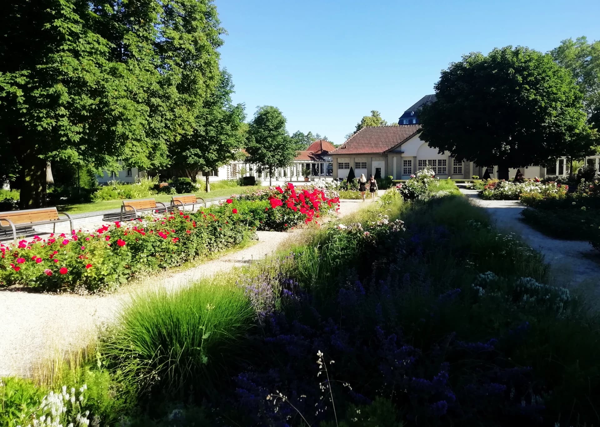 Rosengarten in Bad Nauheim