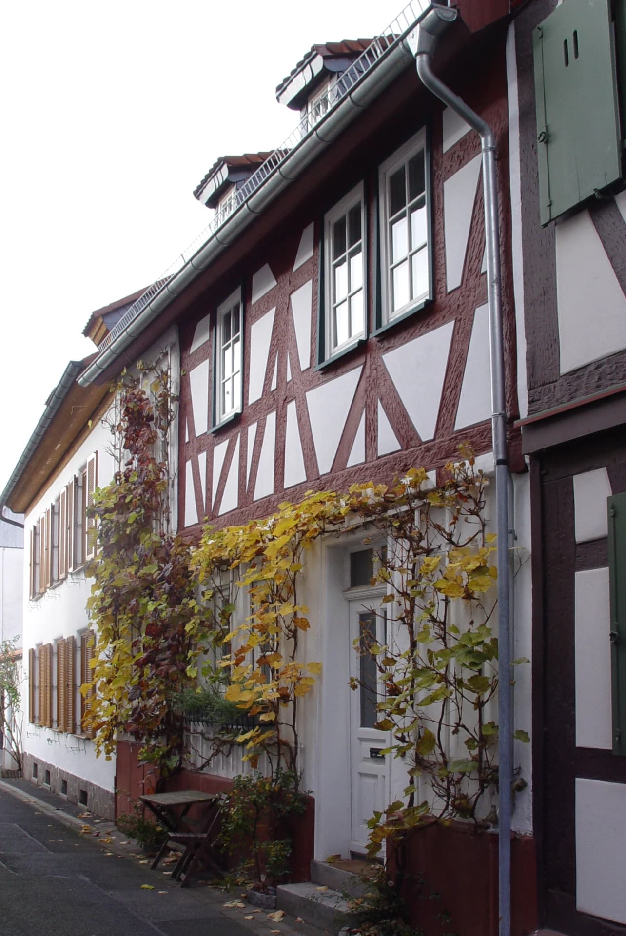 Rosengasse in Seligenstadt