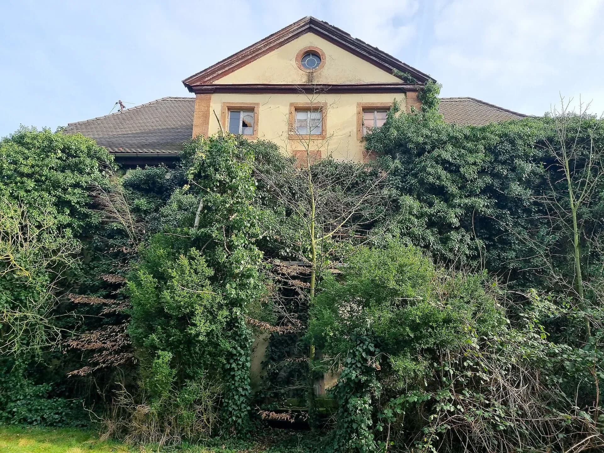 Bewachsene Fassade des Rosenhofs in Babenhausen