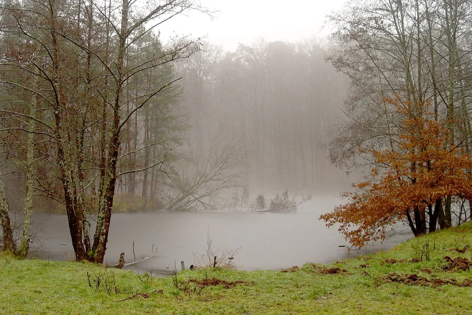 Naturschutzgebiet Sandsee im Winter bei Aschaffenburg