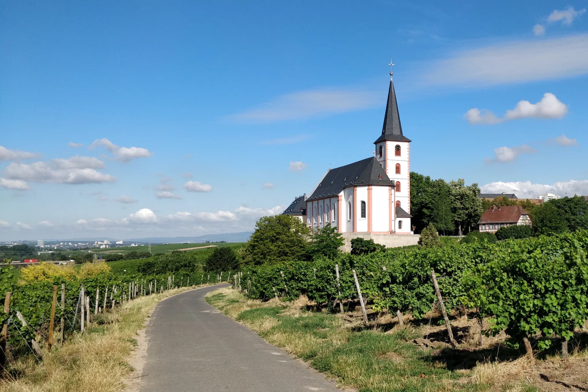 Pfarrkirche Sankt Peter und Paul von Osten in Hochheim am Main