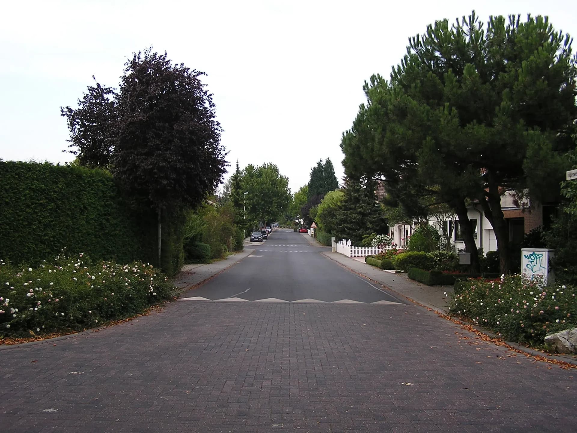 Wohnstraße im Schäferborn in Friedrichsdorf