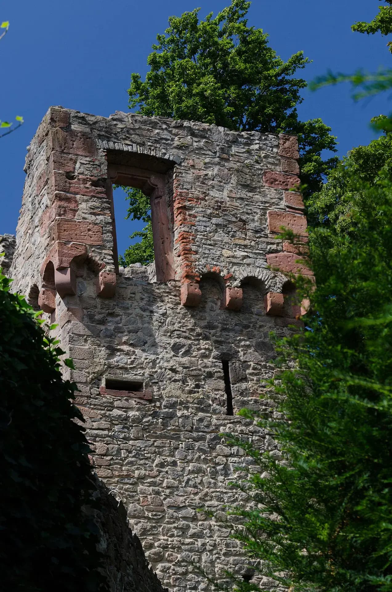 Schenkenturm im Park Schöntal in Aschaffenburg