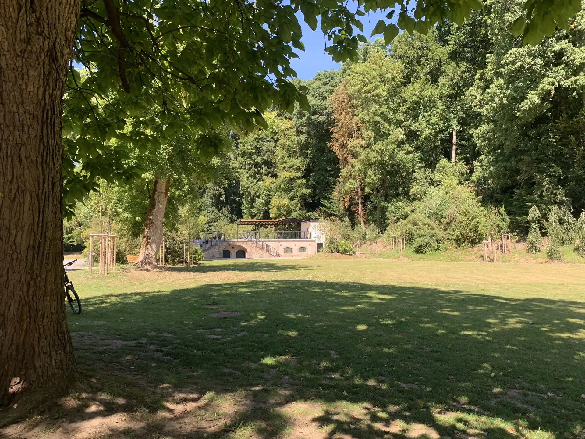 Wiese im Schlosspark in Wächtersbach
