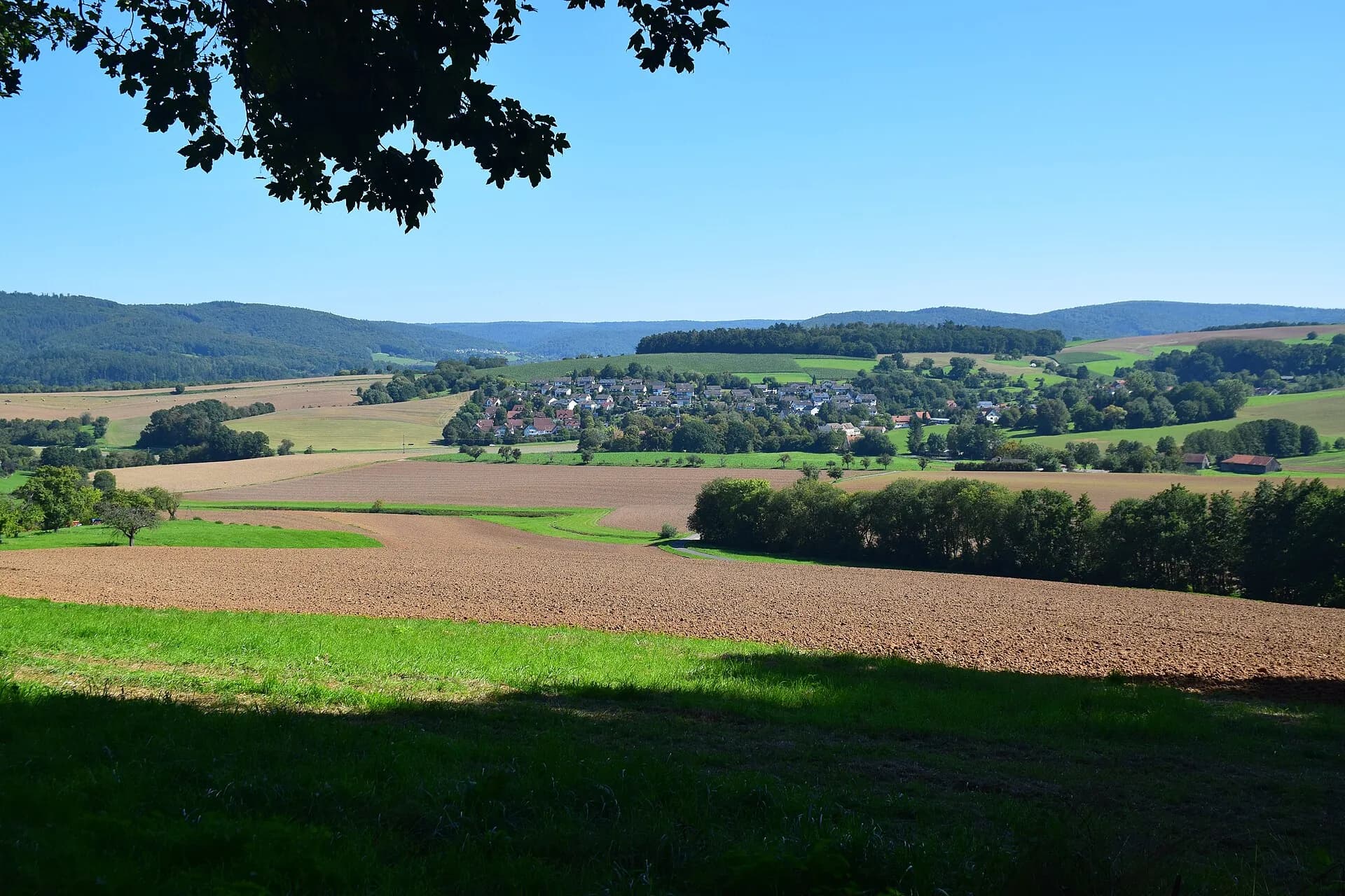 Felder und Wiesen westlich von Schmerlenbach in Hösbach