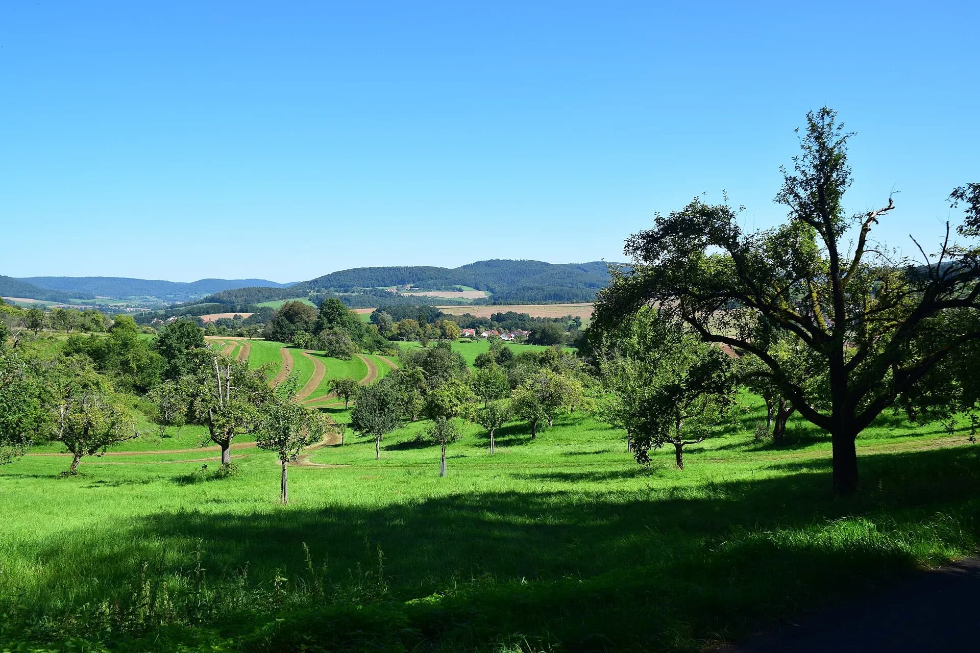 Streuobstwiese mit Blick über die Höhen bei Schmerlenbach in Hösbach
