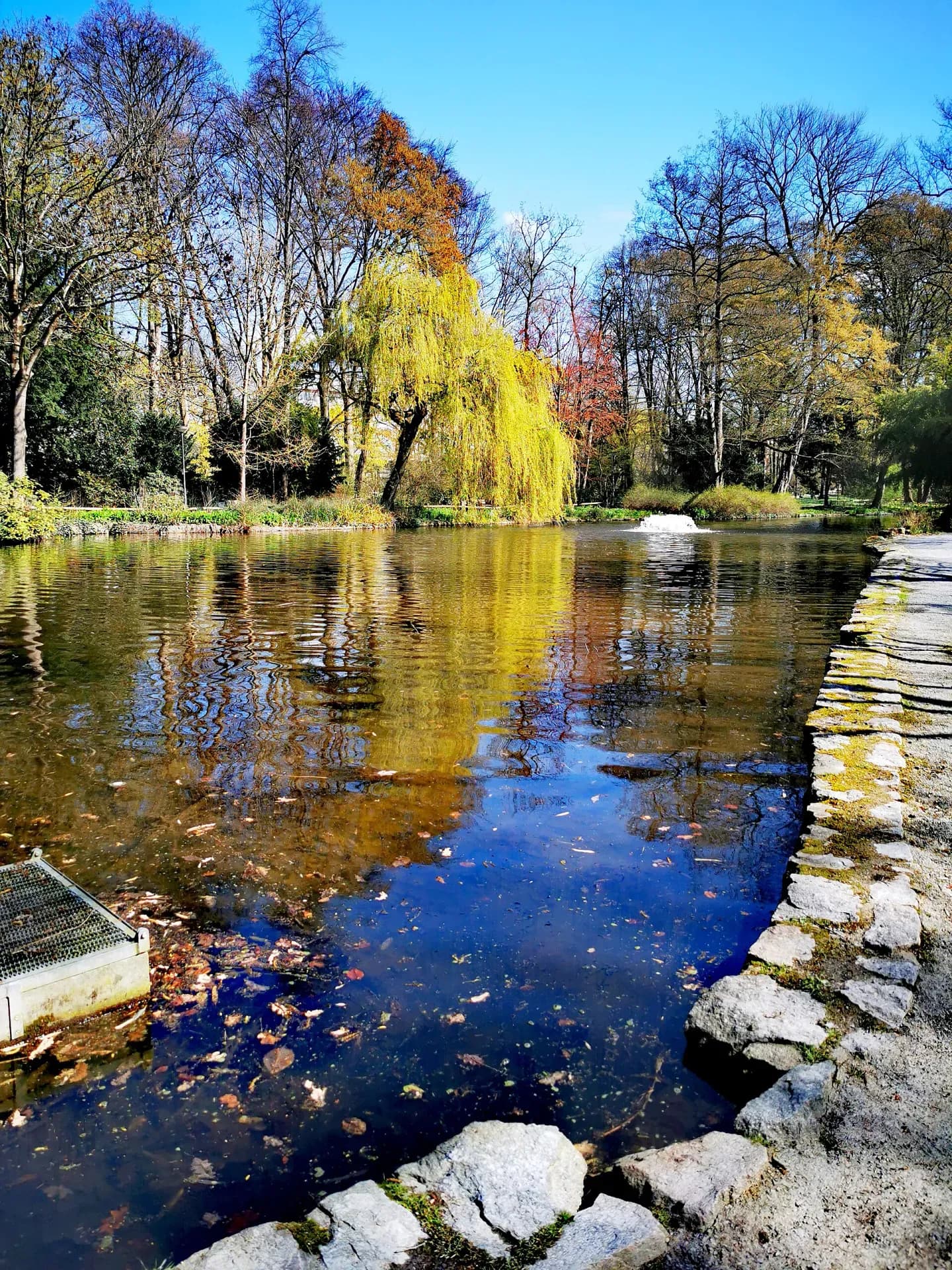 Weiher im Park Schöntal im Herbst in Aschaffenburg