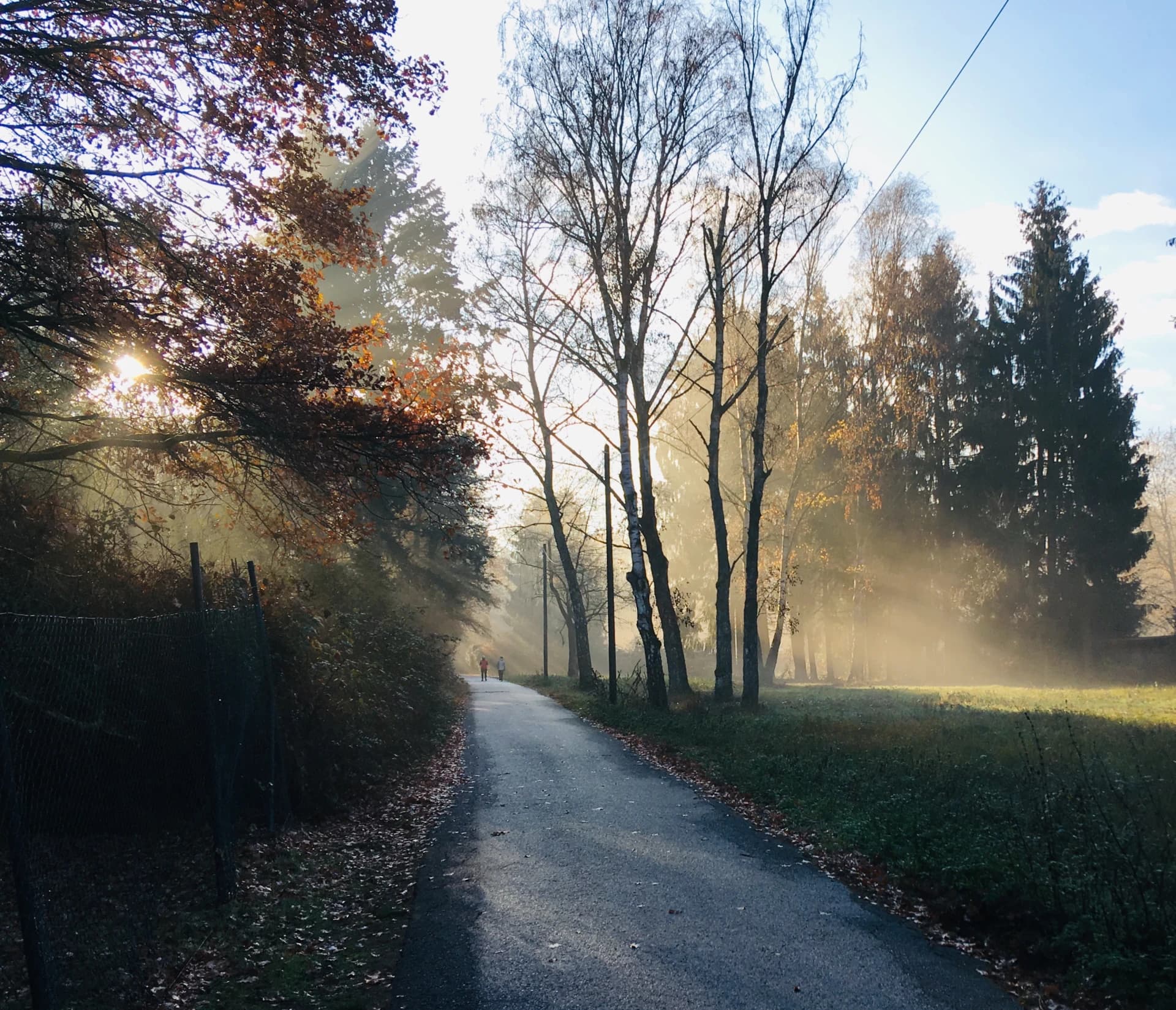 Feldweg im Morgennebel am Seegewann in Dreieich-Sprendlingen