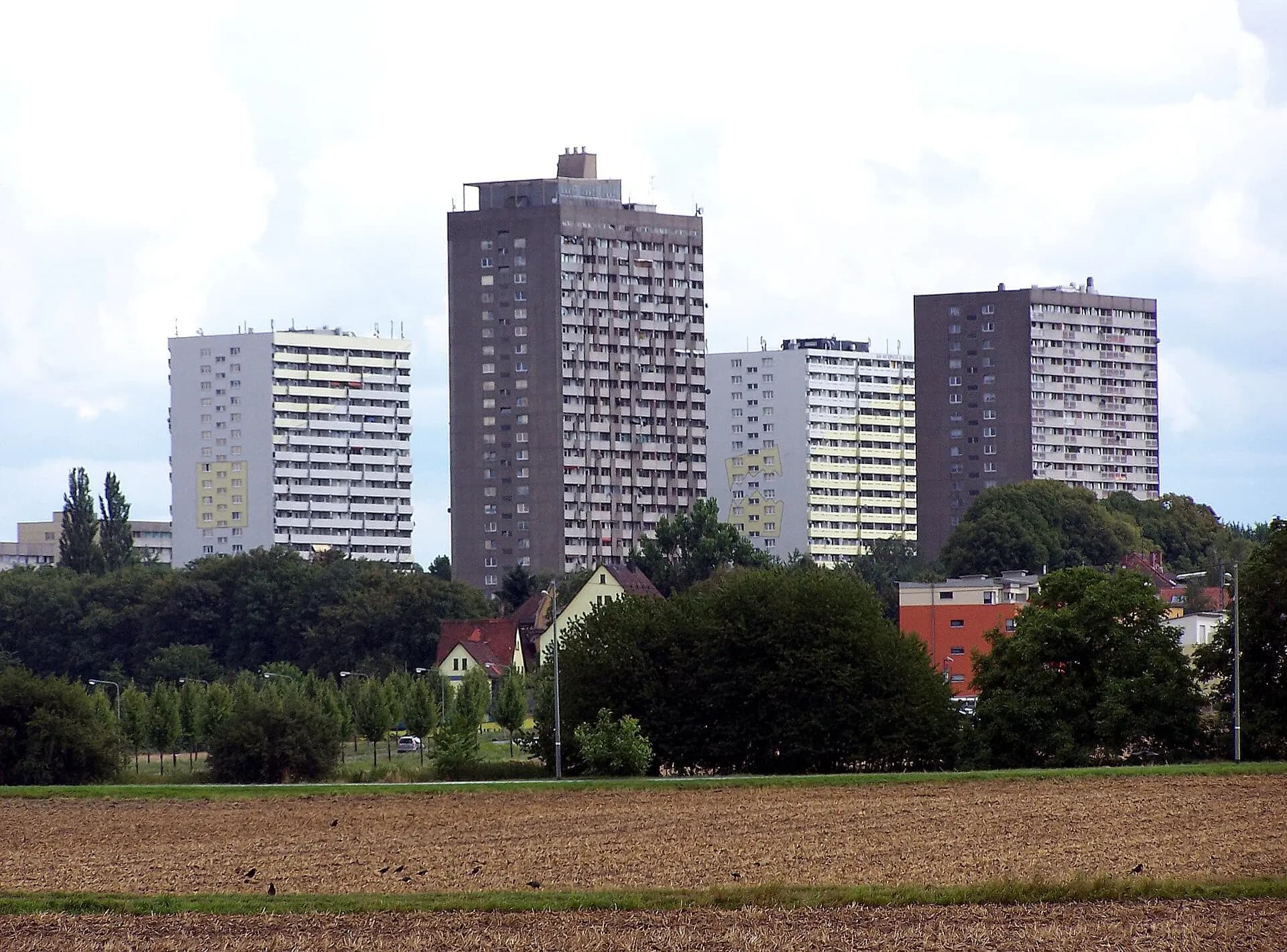 Blick über die Felder auf die Siedlung Frankfurter Berg