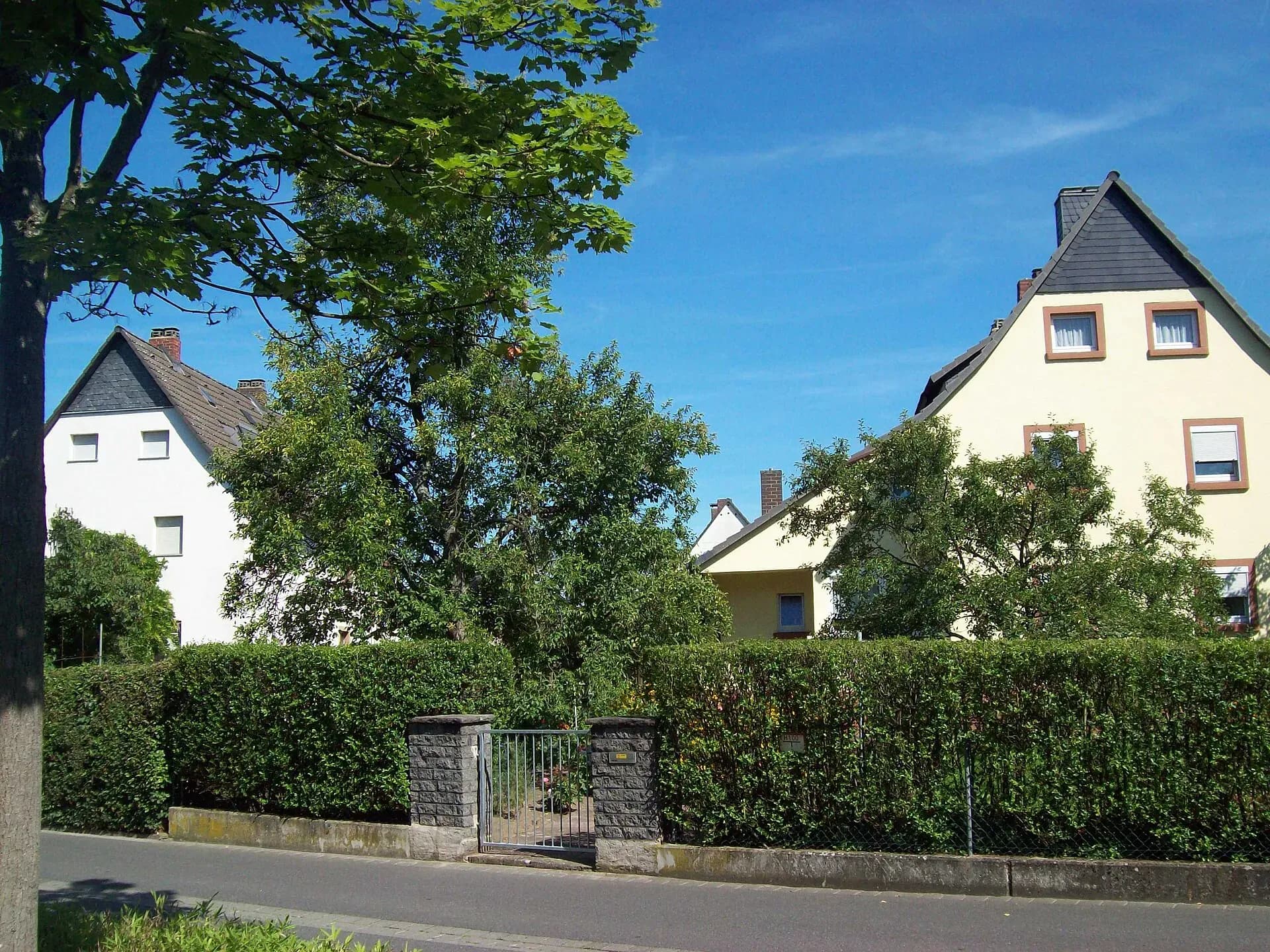 Einstöckige Siedlungshäuser hinter Hecken in der Wilhelminenstraße in der Obernauer Kolonie in Aschaffenburg