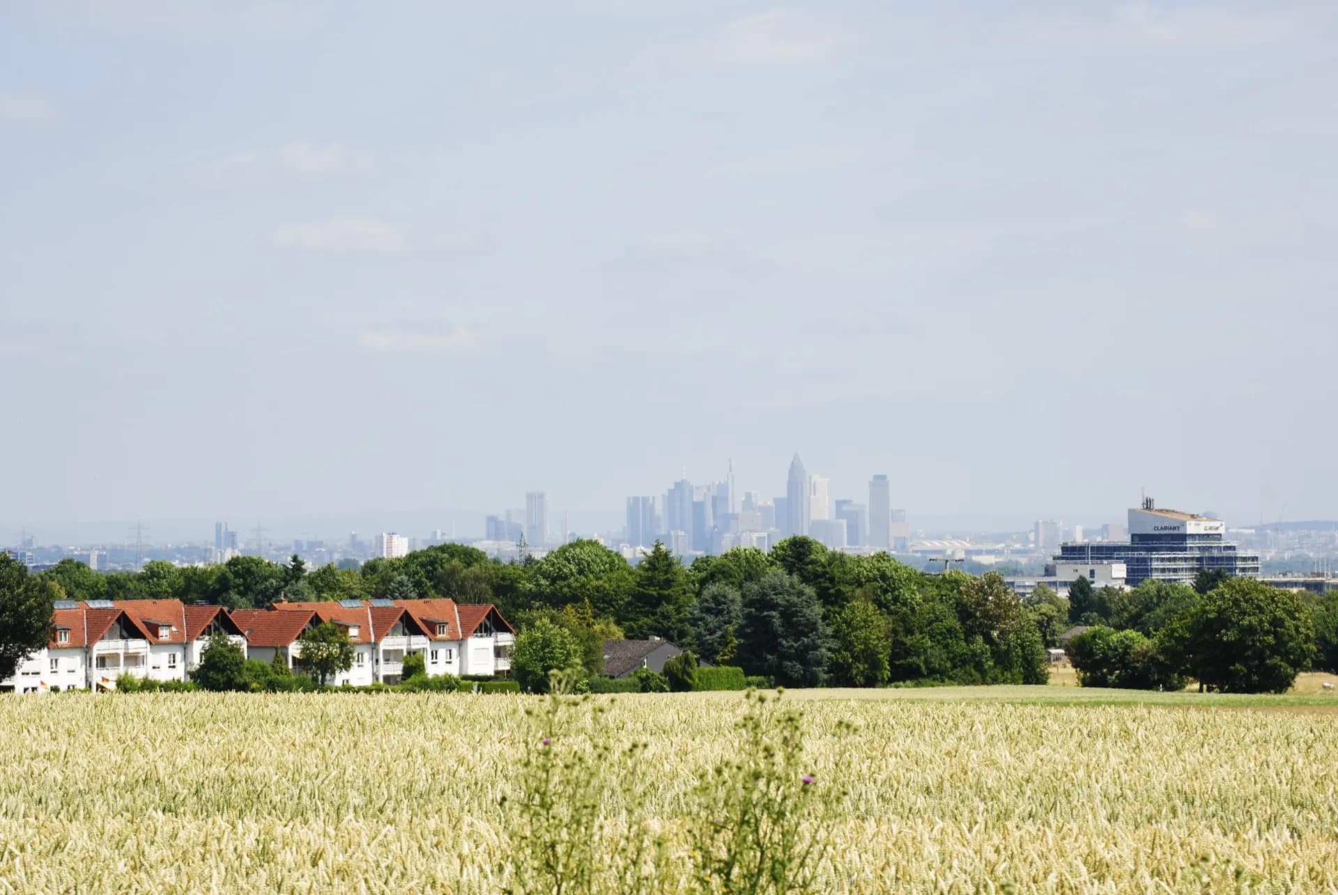 Blick auf die Frankfurter Skyline von Bad Soden am Taunus