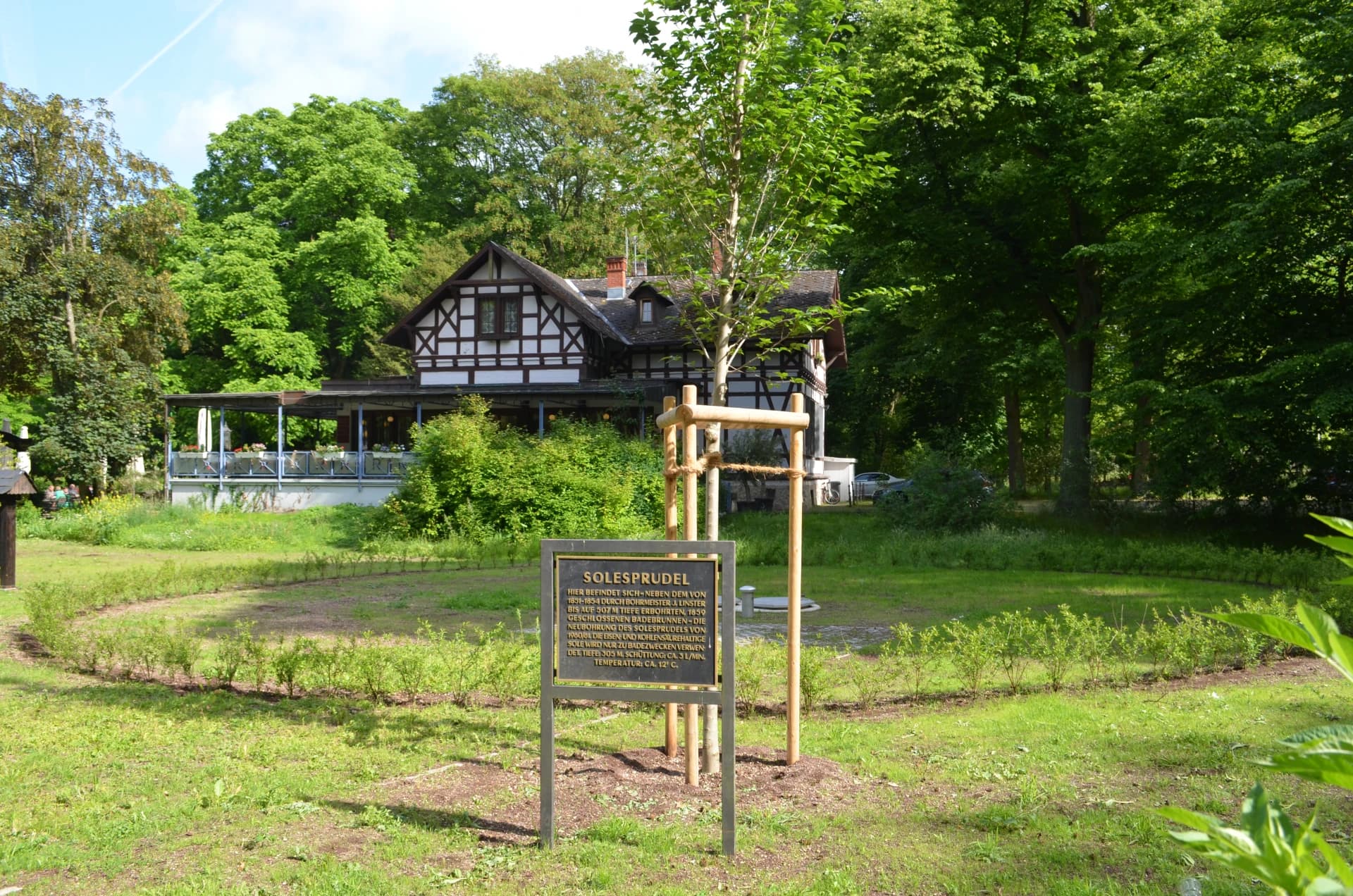 Solesprudel im Kurpark Bad Homburg