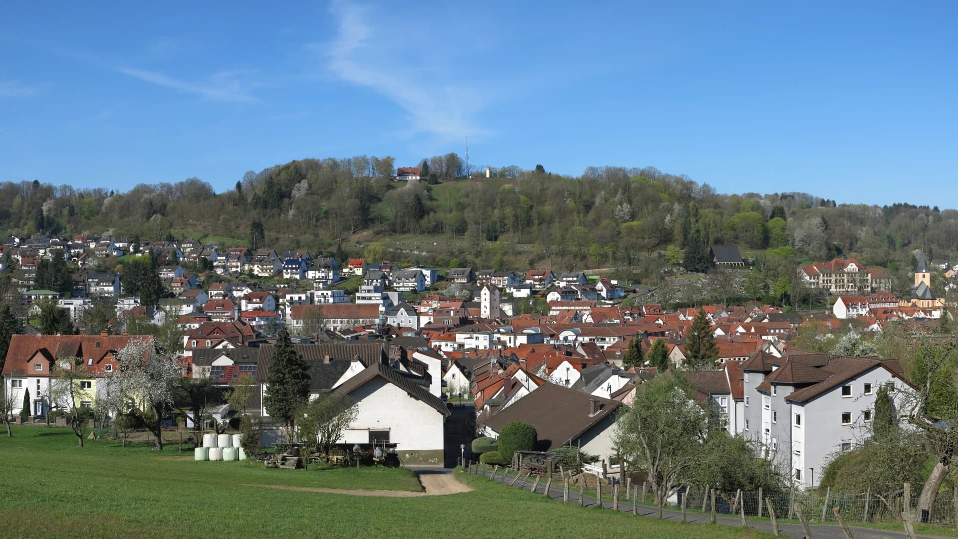 Blick über Bad Orb zum Molkenberg