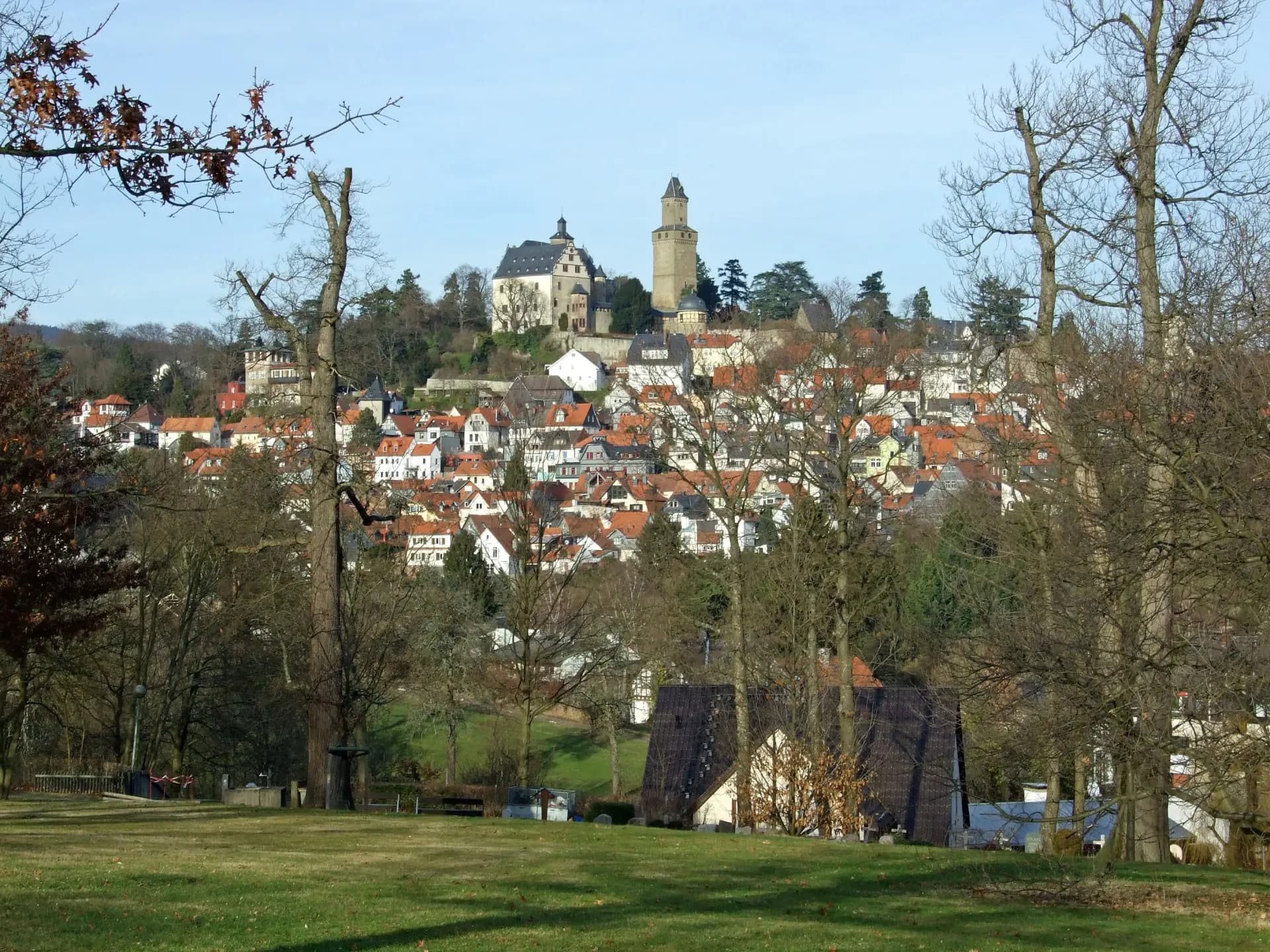 Blick über Wiesen auf die Altstadt von Kronberg im Taunus