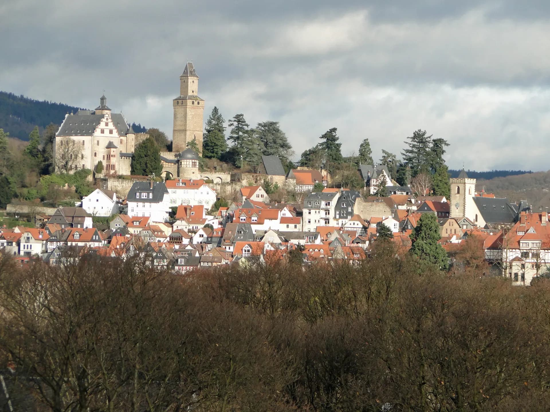 Stadtansicht von Kronberg im Taunus von Mammolshain aus