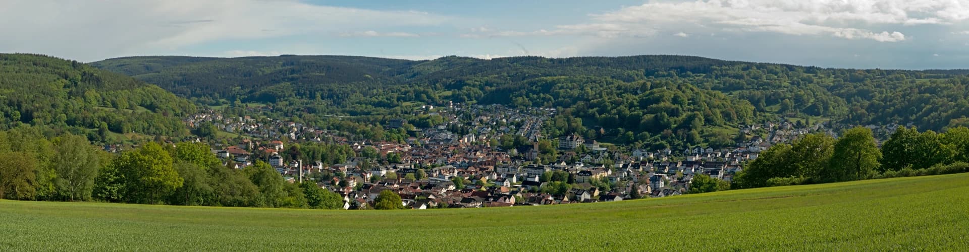 Blick von Norden auf Bad Orb