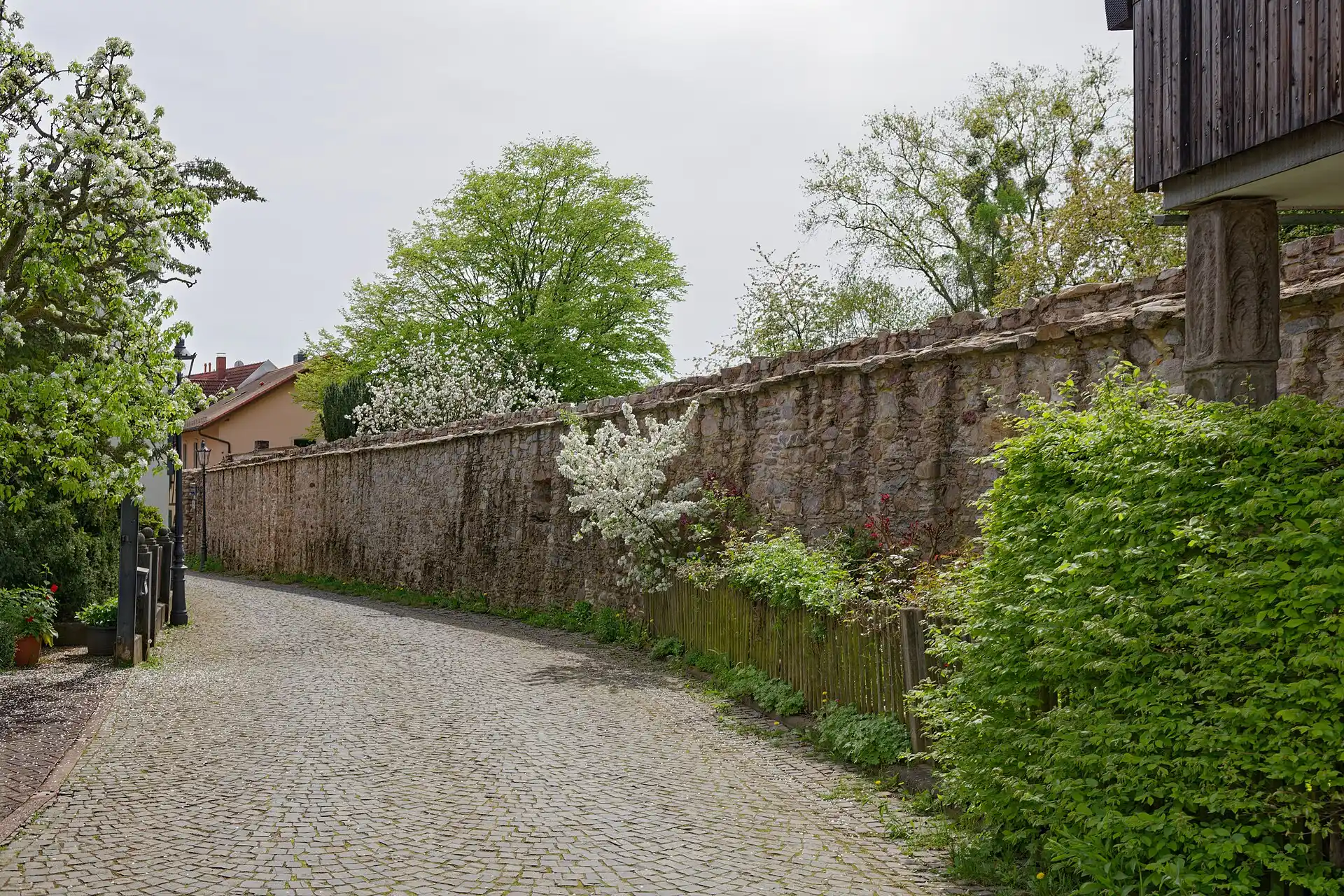 Stadtmauer an der Gasse Auf der Burg in Oberursel (Taunus)