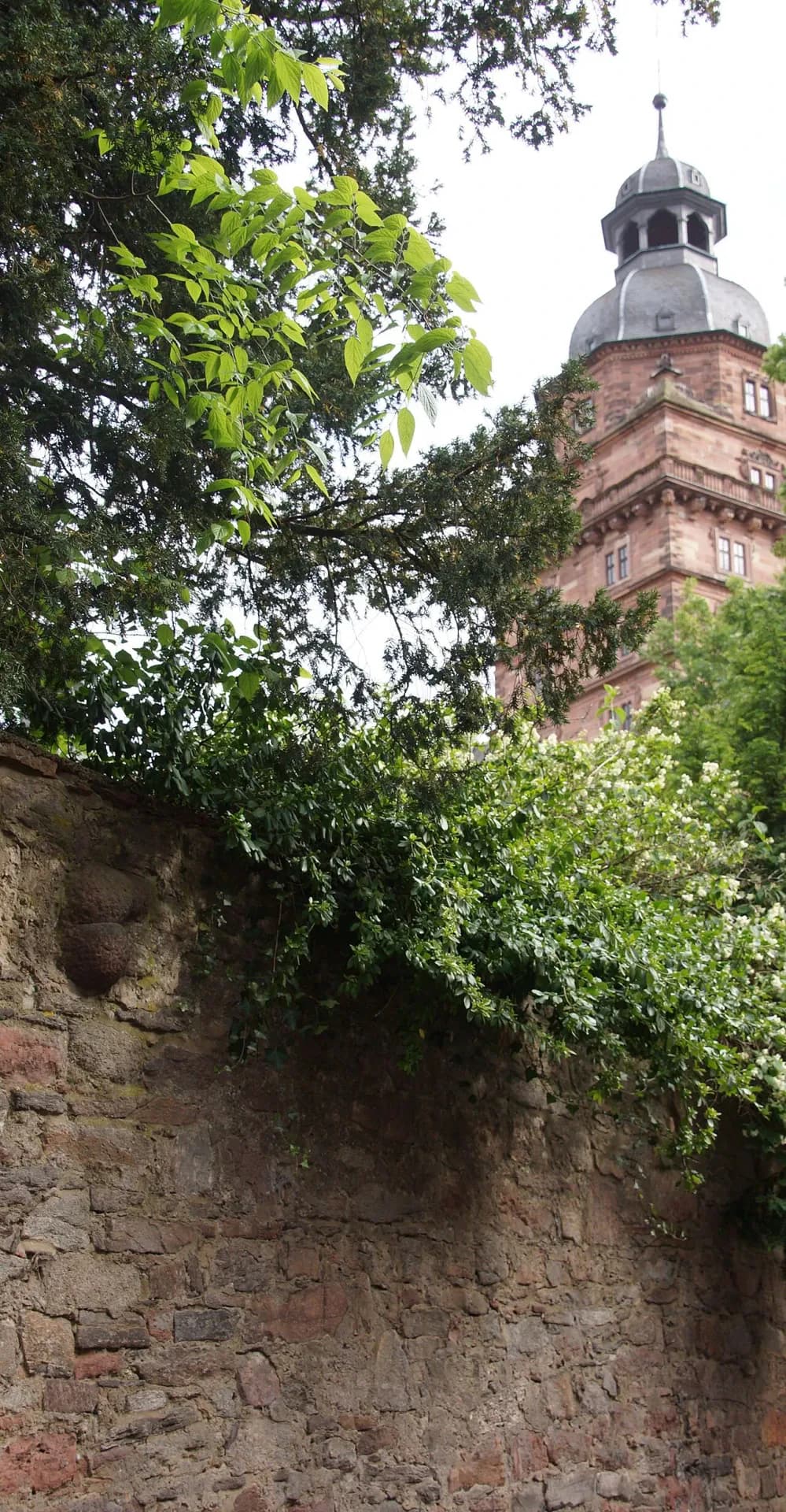 Historische Stadtmauer mit Schlossturm in Aschaffenburg