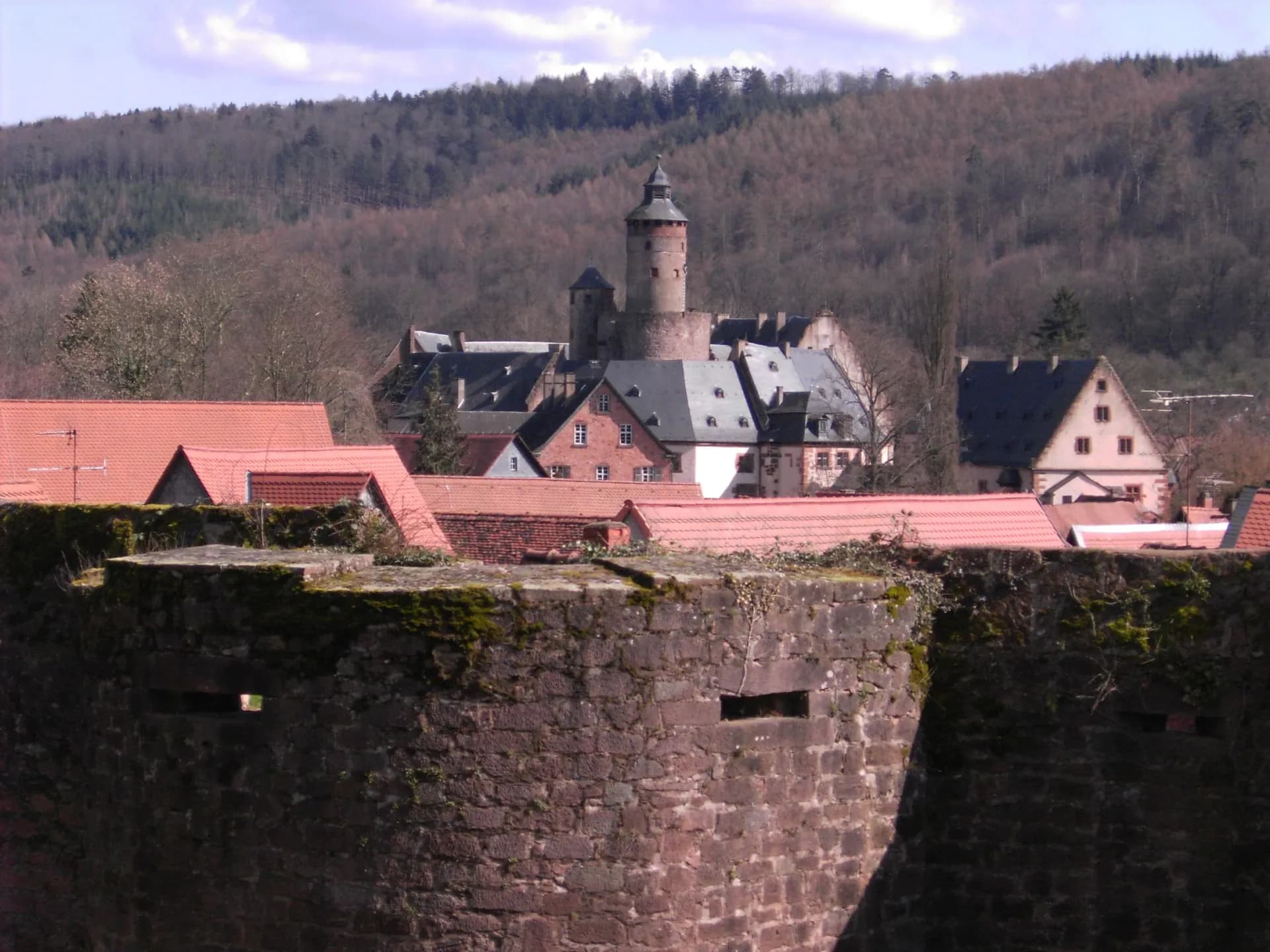 Stadtmauer und Schloss in Büdingen