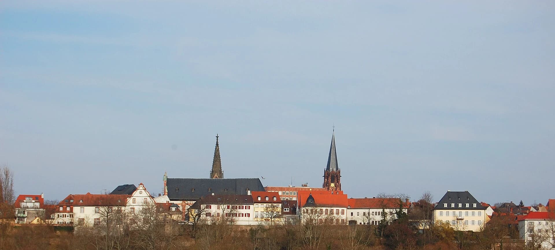 Stadtsilhouette von Aschaffenburg mit den Türmen der Stiftskirche