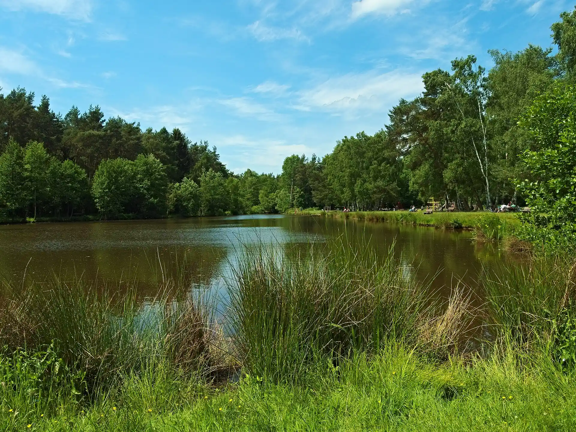 Weiher am Stickesgraben bei Dieburg