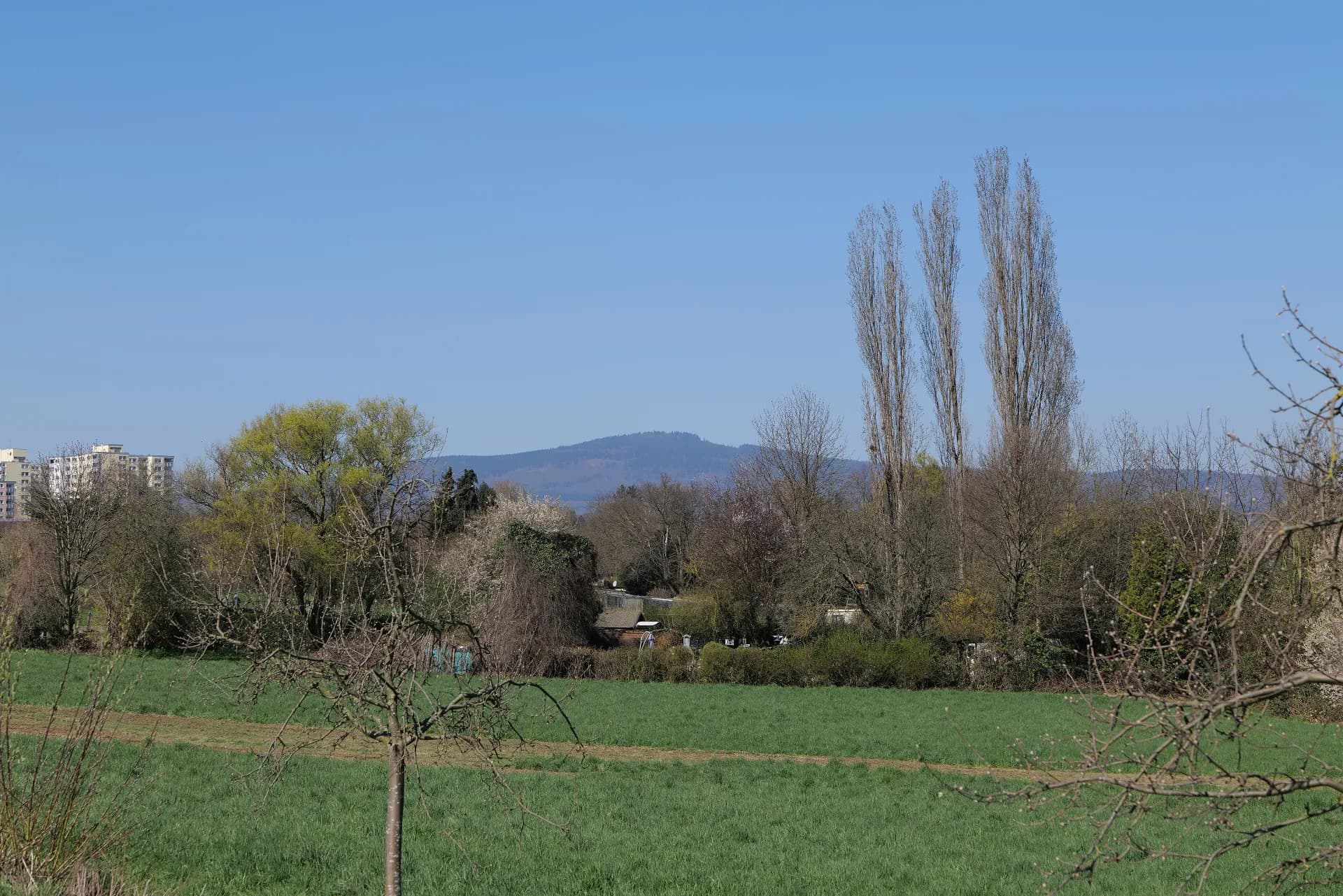 Streuobstwiese mit Blick auf den Taunuskamm bei Steinbach (Taunus)