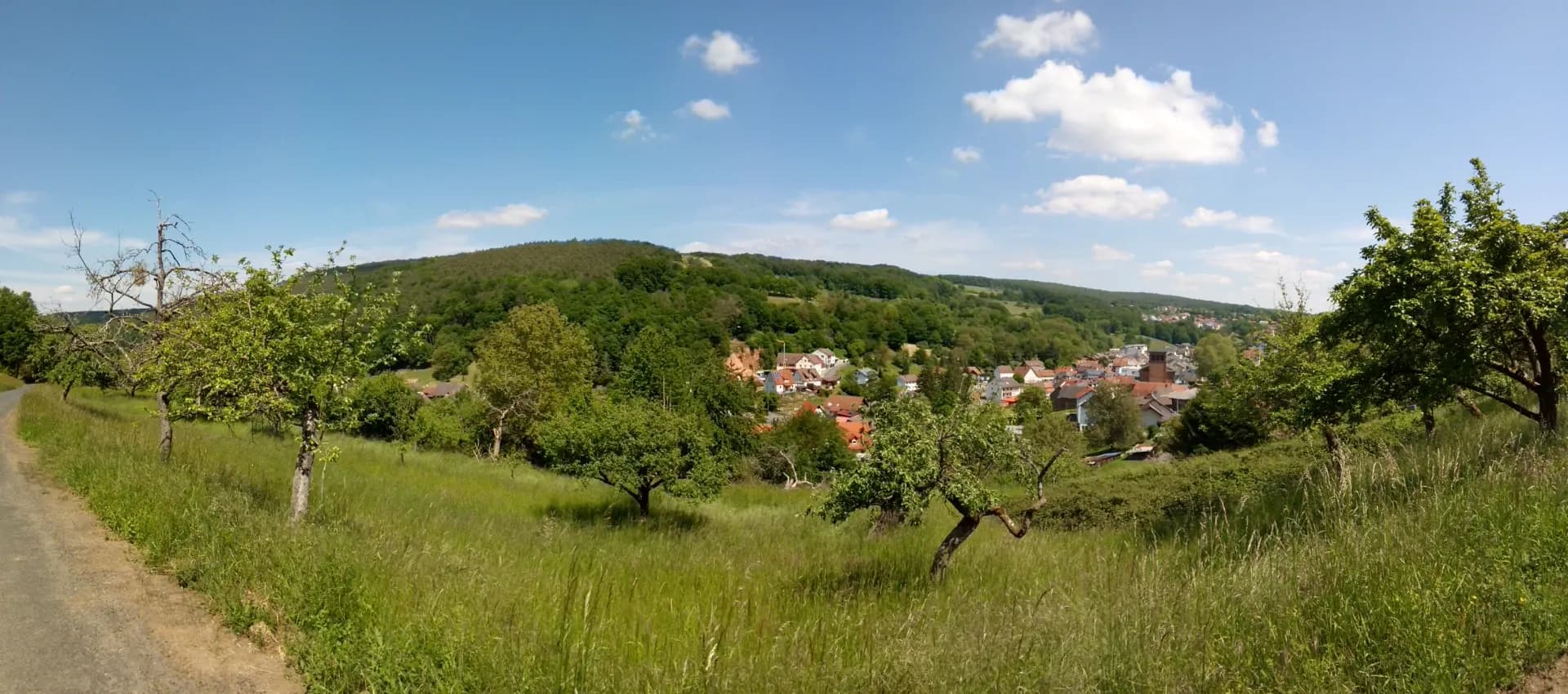 Blick über eine Streuobstwiese auf den Ort Leidersbach