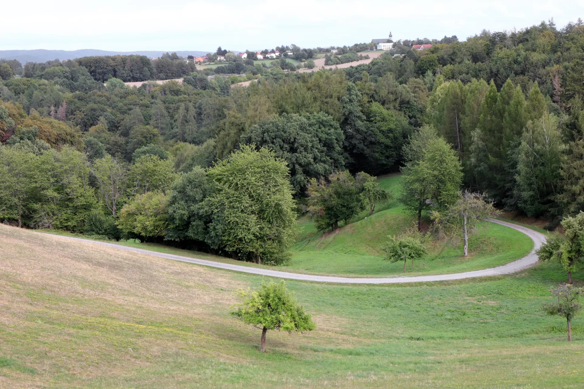 Streuobstwiesen mit Blick auf Johannesberg
