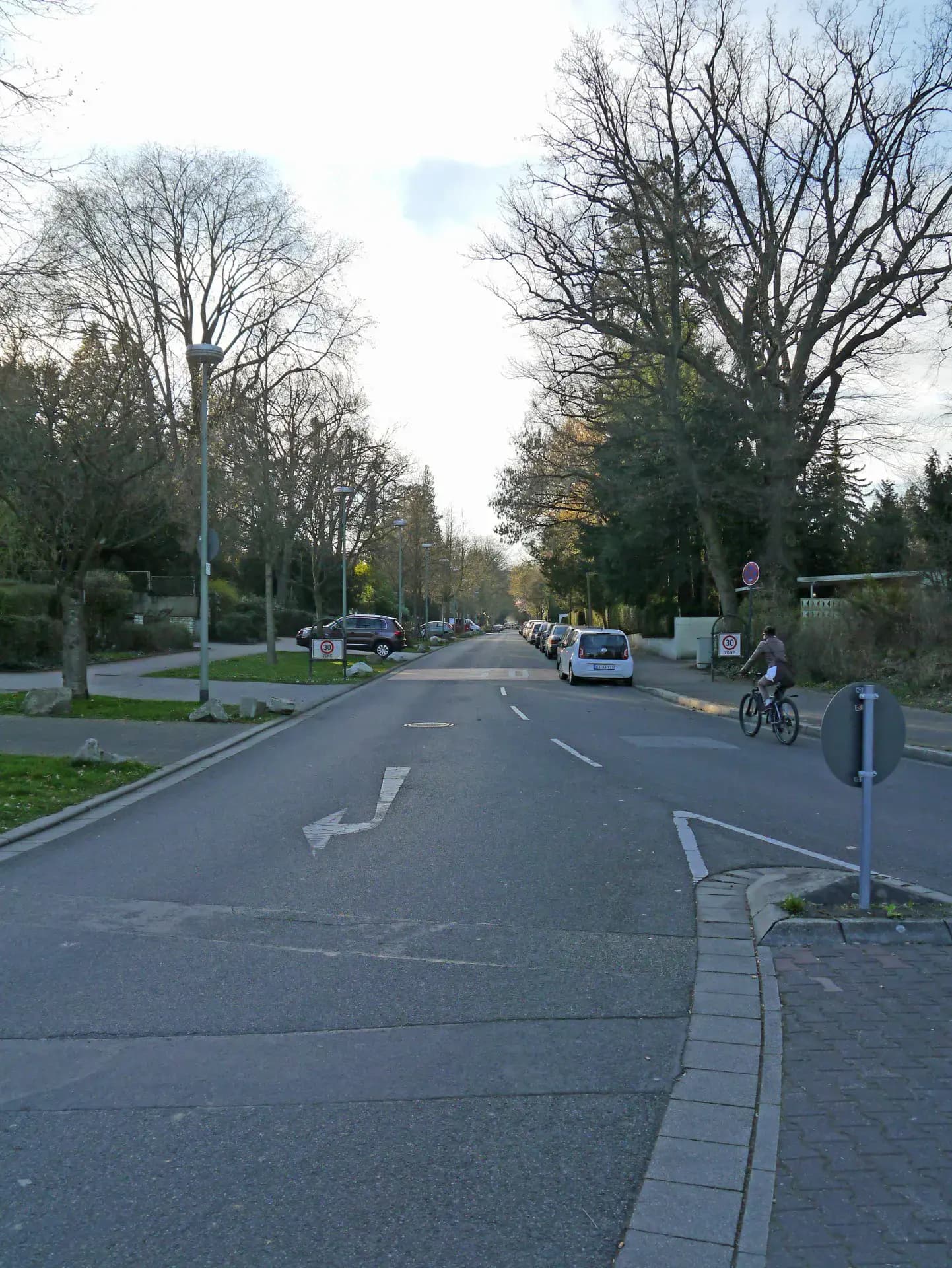 Tannenwaldallee in Bad Homburg