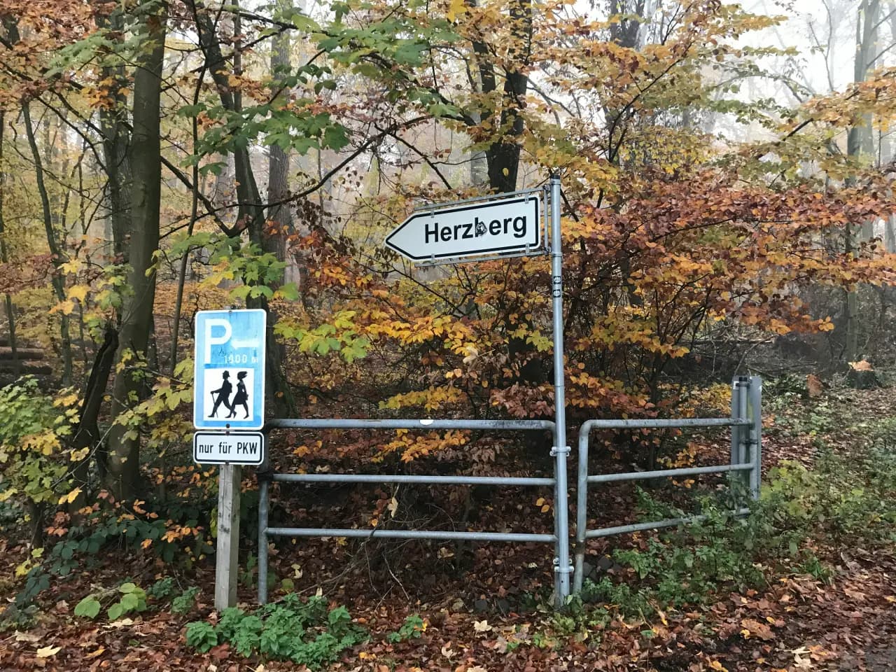 Wegweiser zum Herzberg an einem herbstlichen Wanderweg im Taunuswald bei Bad Homburg