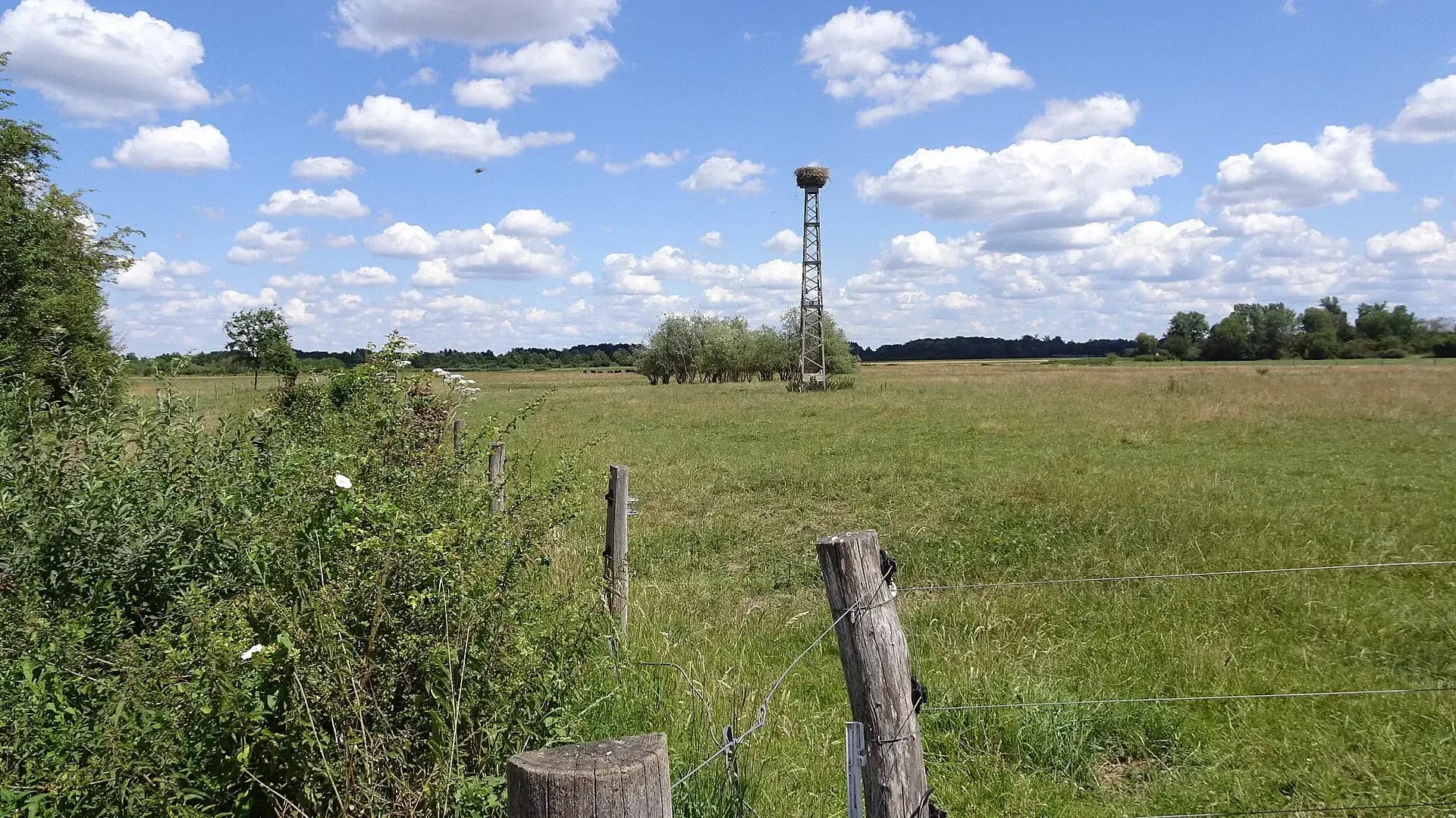 Wiesenlandschaft an der Unteren Gersprenz bei Babenhausen