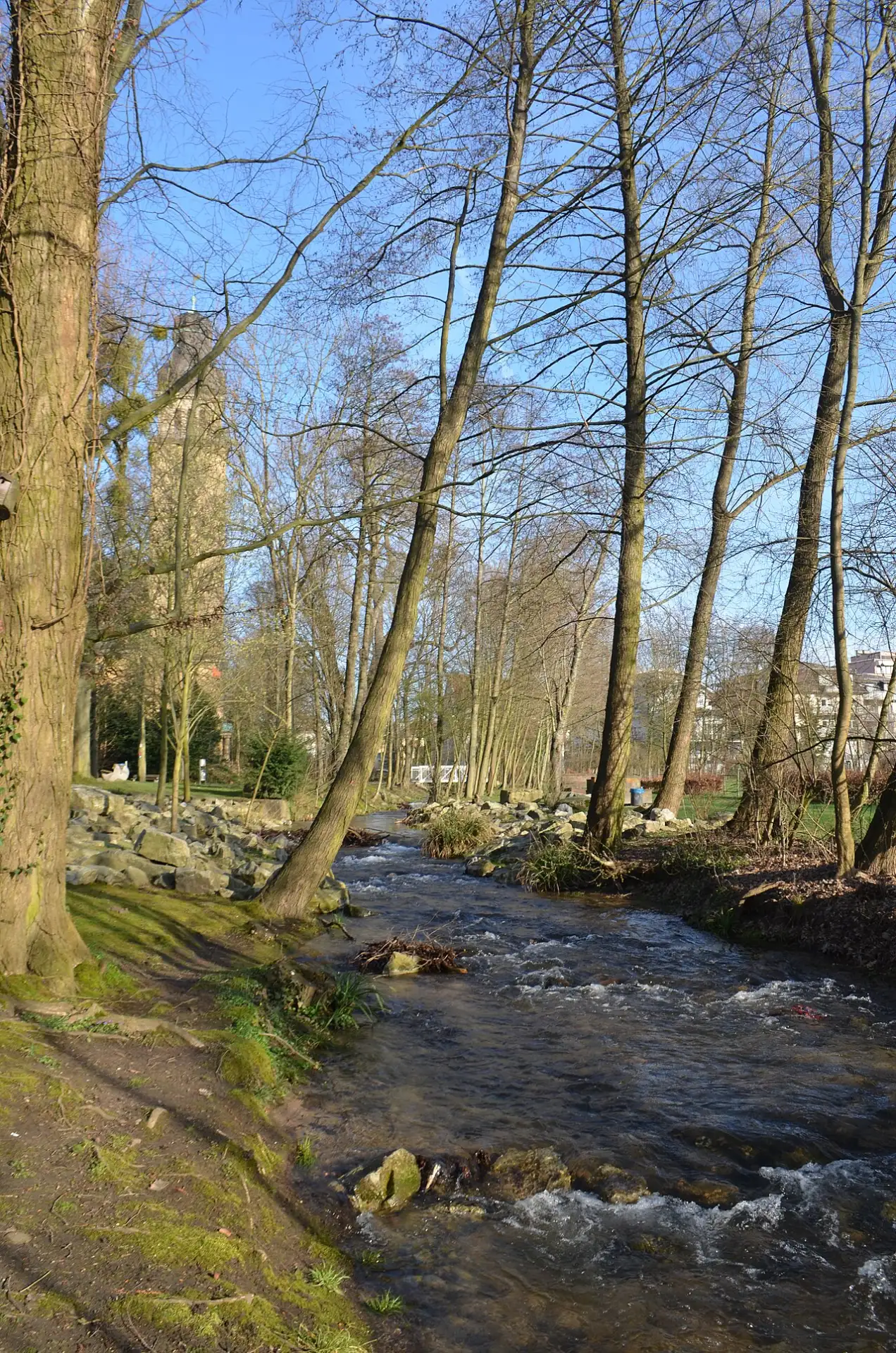 Urselbach im Rushmoor-Park in Oberursel (Taunus)