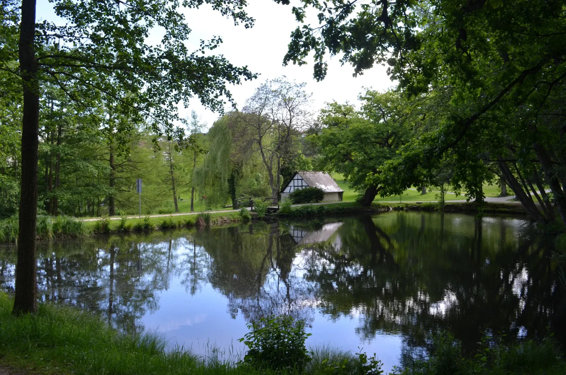 Bleichweiher im Victoriapark in Kronberg im Taunus