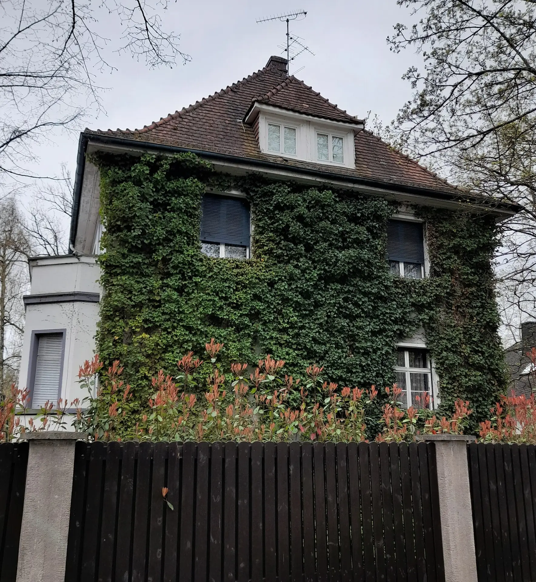 Efeubewachsene Villa an der Ernst-Ludwig-Allee 7 in Dreieich-Buchschlag