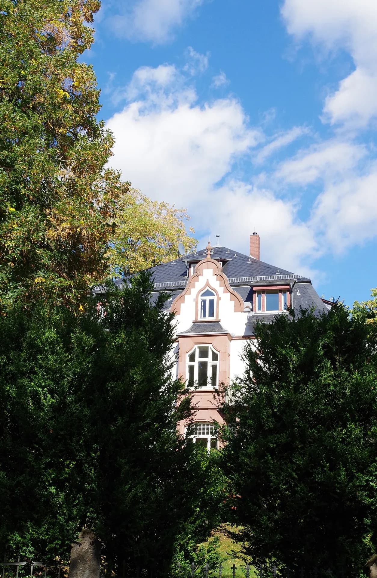 Villa Wildrose zwischen Parkbäumen in Bad Soden am Taunus