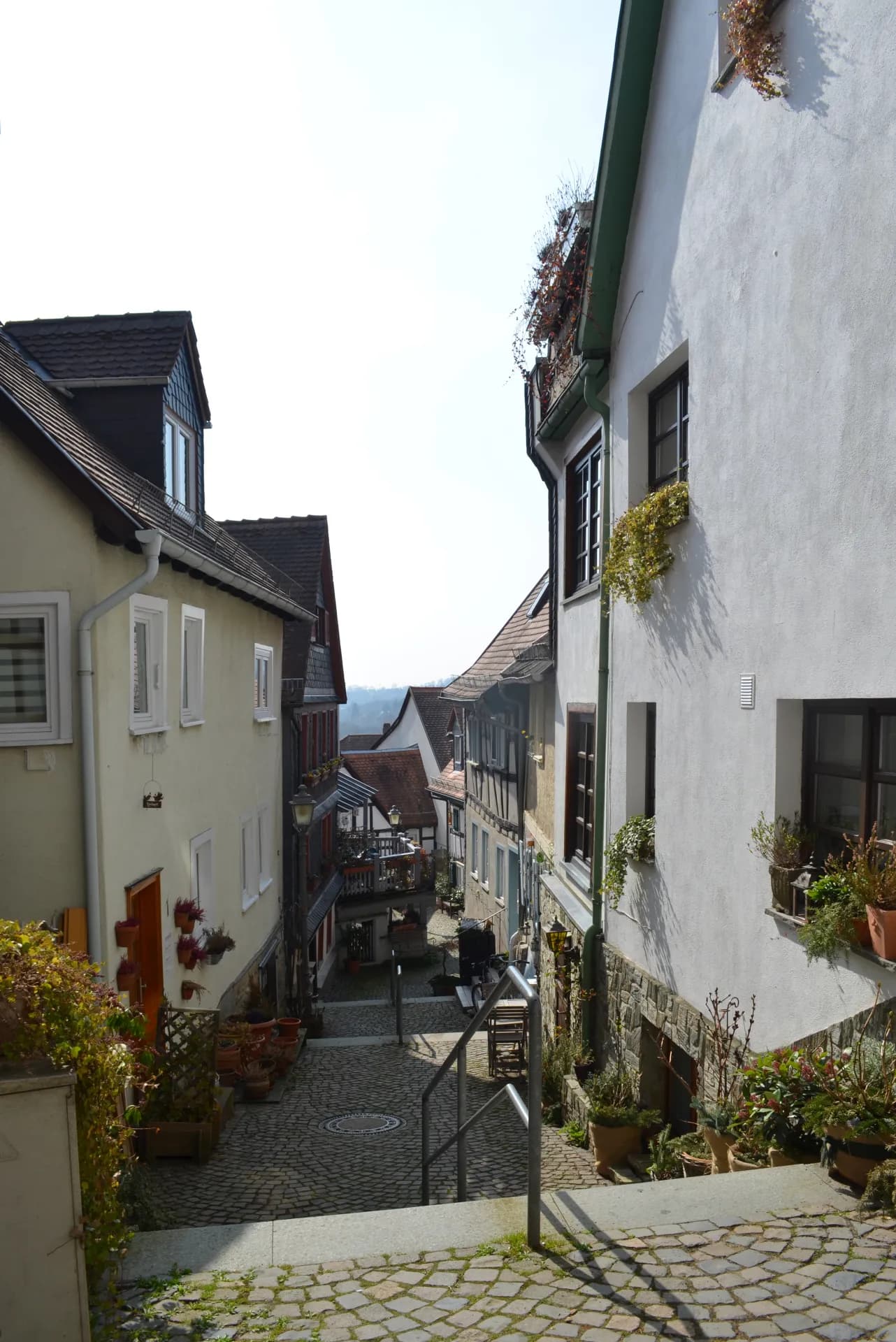 Vogelgesanggasse mit Blumenschmuck in Kronberg im Taunus