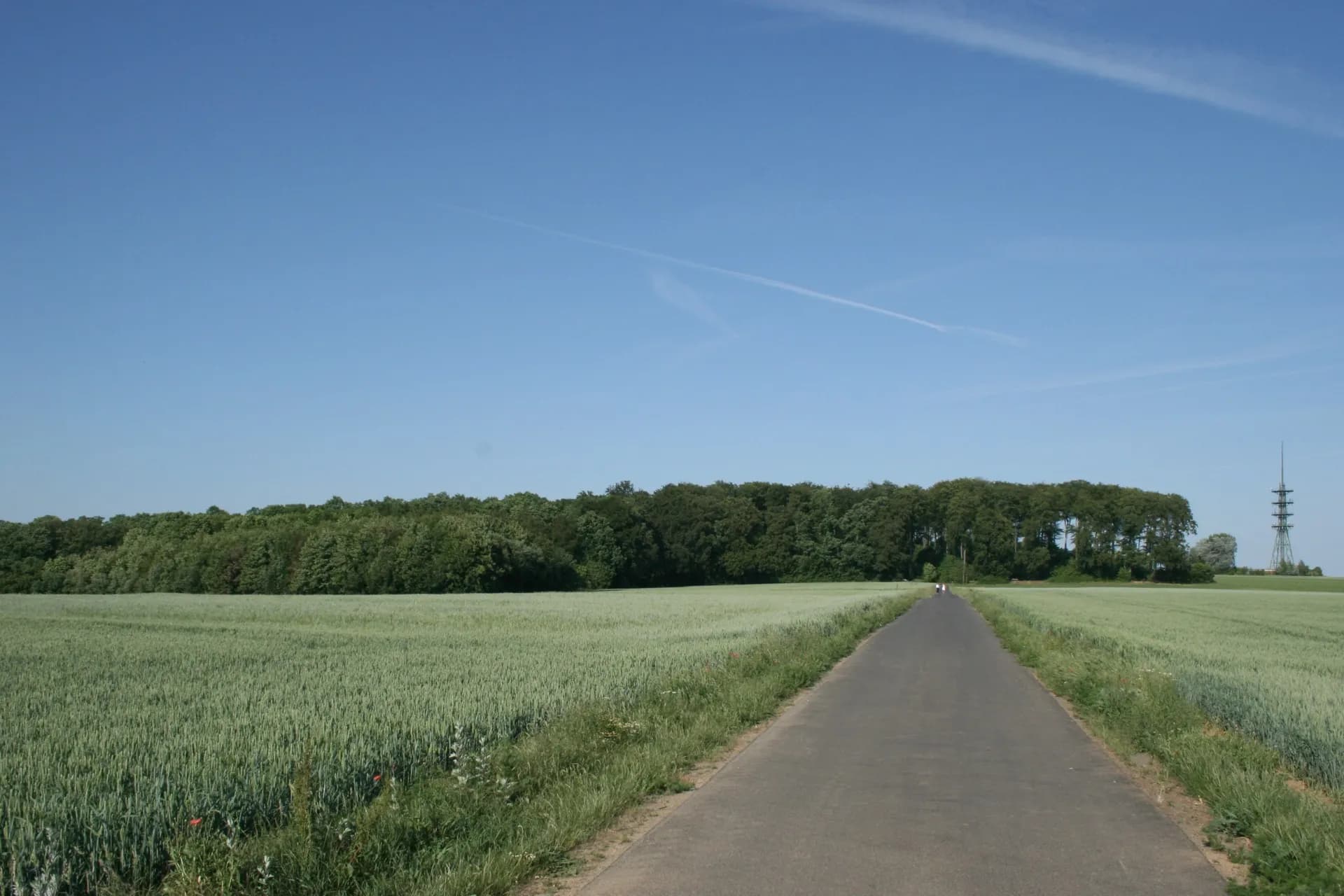 Feldflur am Hühnerberg mit der Kleinen Loh bei Maintal-Wachenbuchen