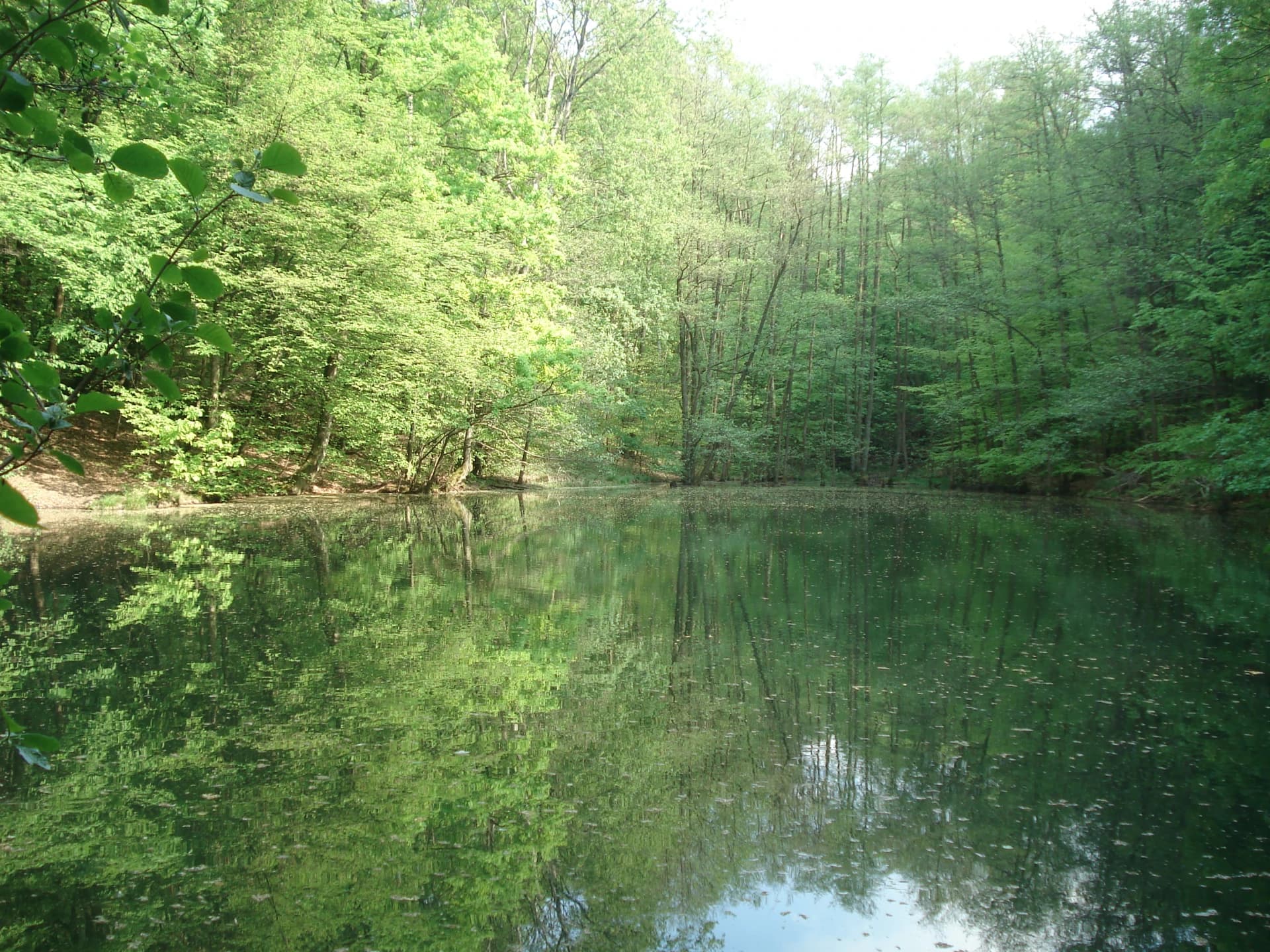Waldmichelbacher See in Bessenbach