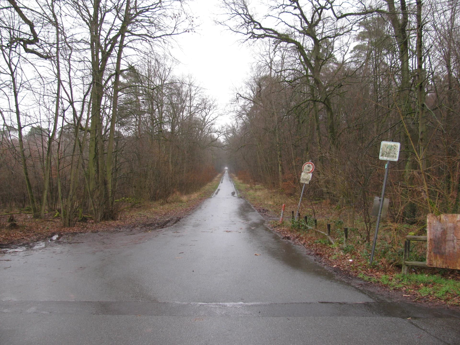 Waldweg bei Rodgau-Weiskirchen