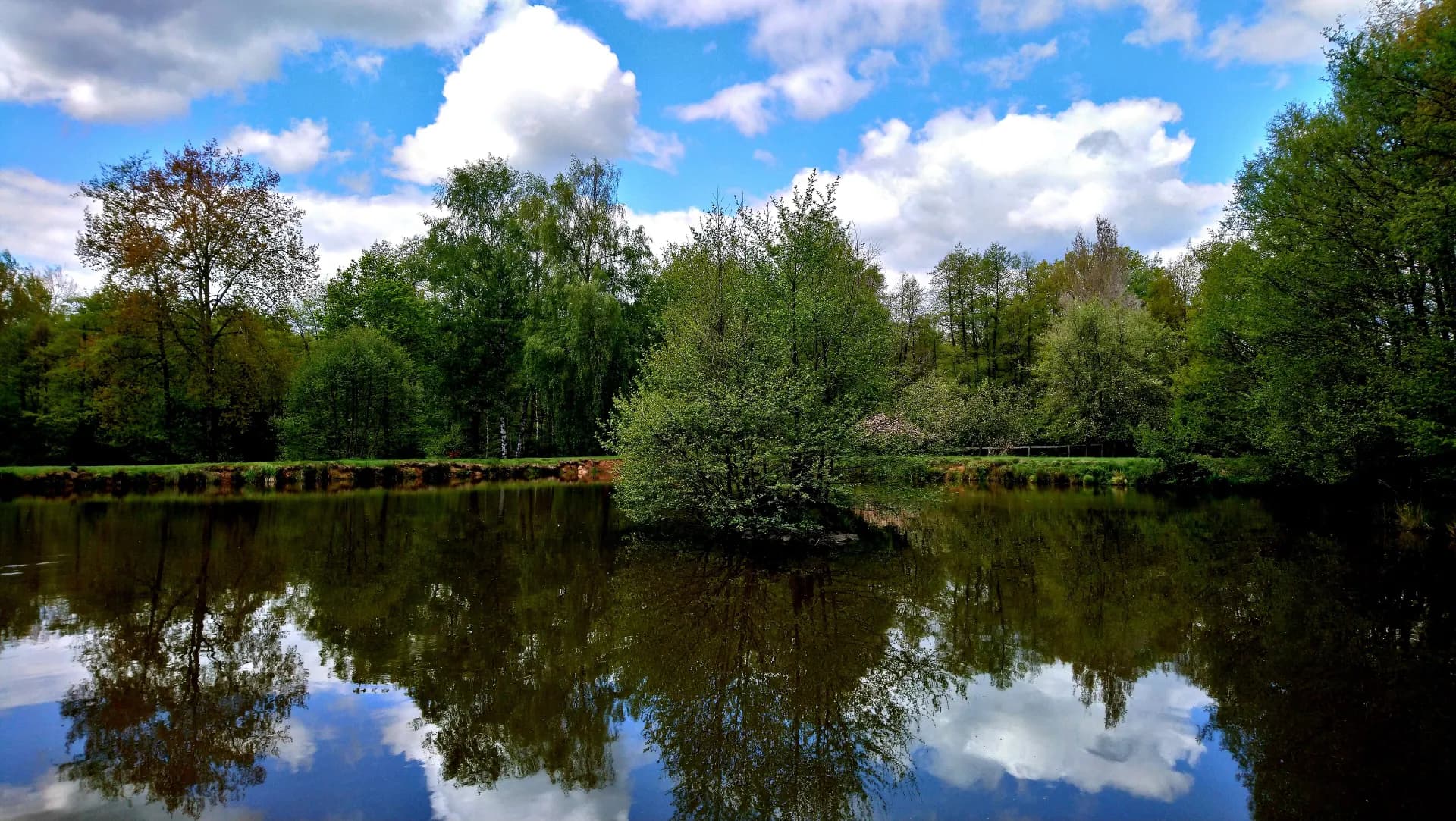 Weiher am Bubenrain bei Waldensberg in Wächtersbach