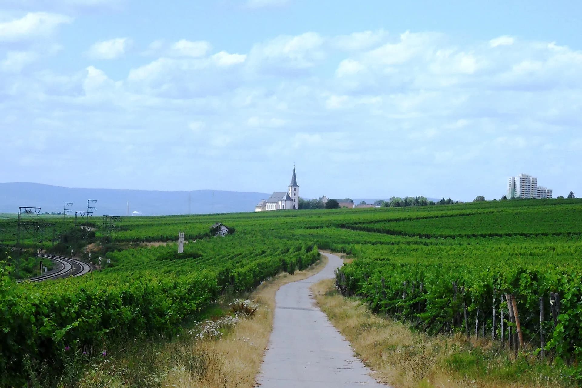 Weinbergweg zwischen den Lagen Hölle und Viktoriaberg in Hochheim am Main
